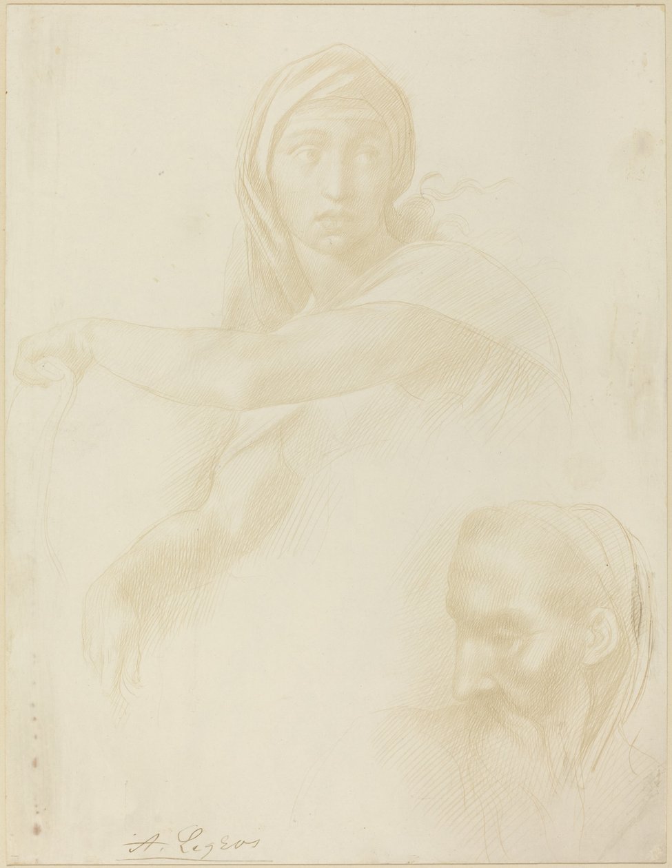 Studium Delfickiej Sybilli; Głowa mężczyzny autorstwa Alphonse Legros after Michelangelo