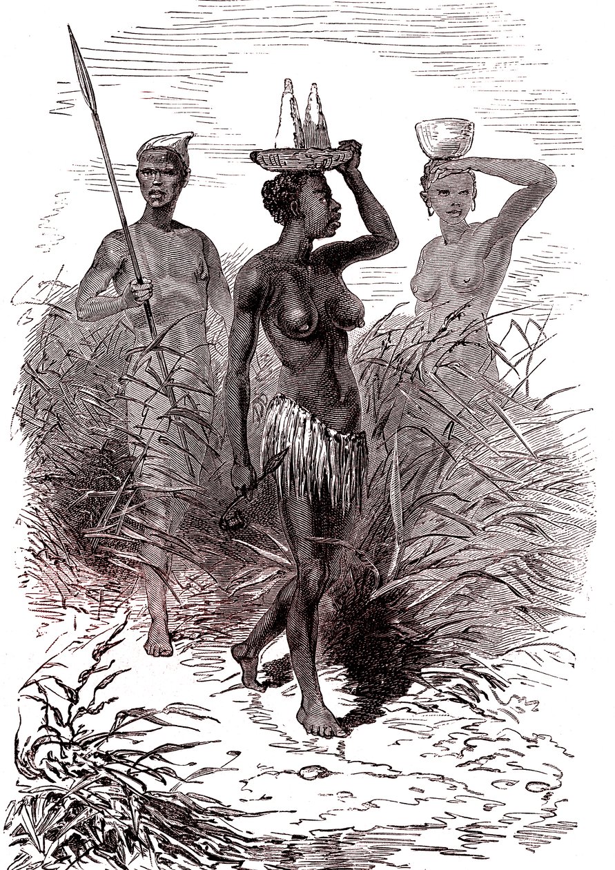 Rdzenni mieszkańcy plemienia Nuer, dolina górnego Nilu autorstwa Alphonse Marie de Neuville