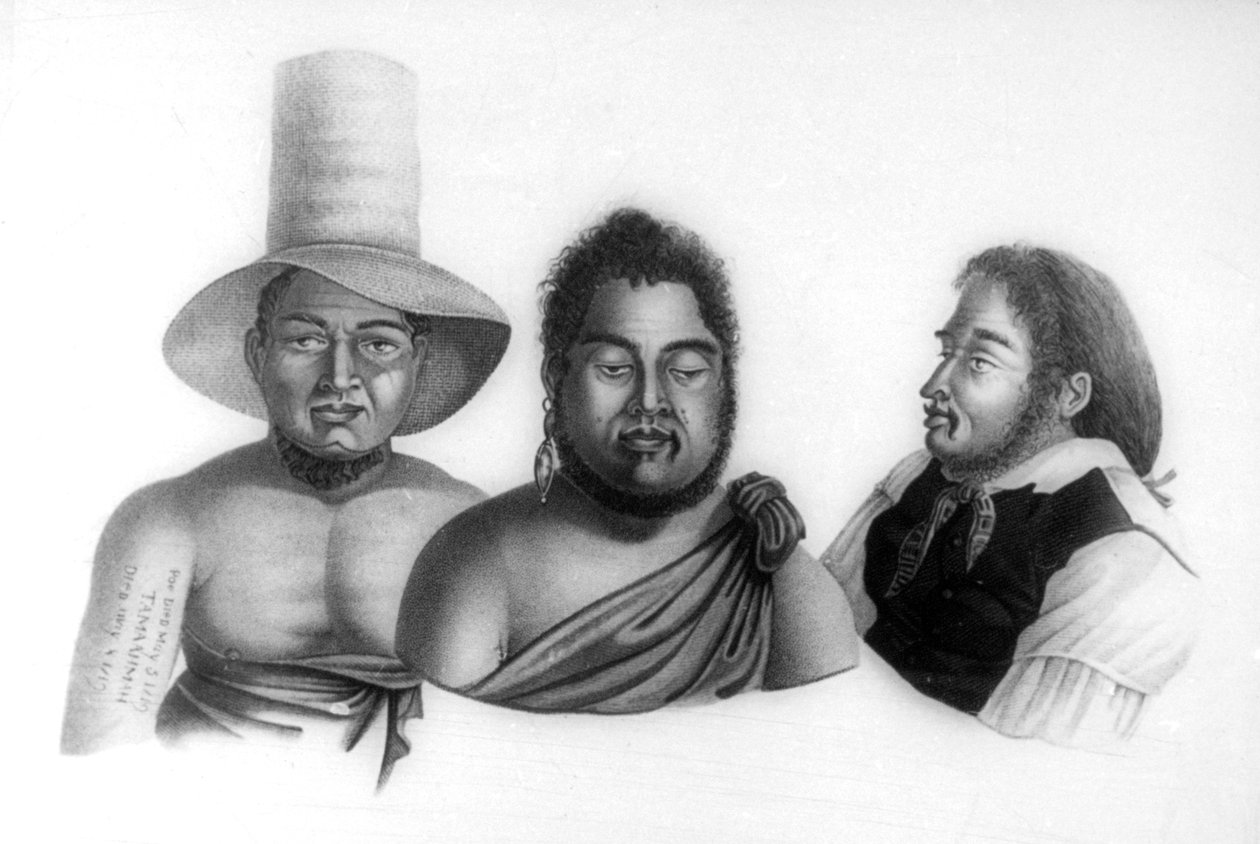 Portrety wodzów Wysp Sandwich, 1819. autorstwa Alphonse Pellion