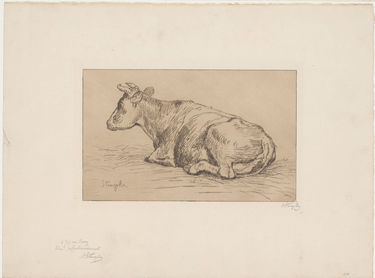 Leżąca krowa autorstwa Alphonse Stengelin (signed by artist)
