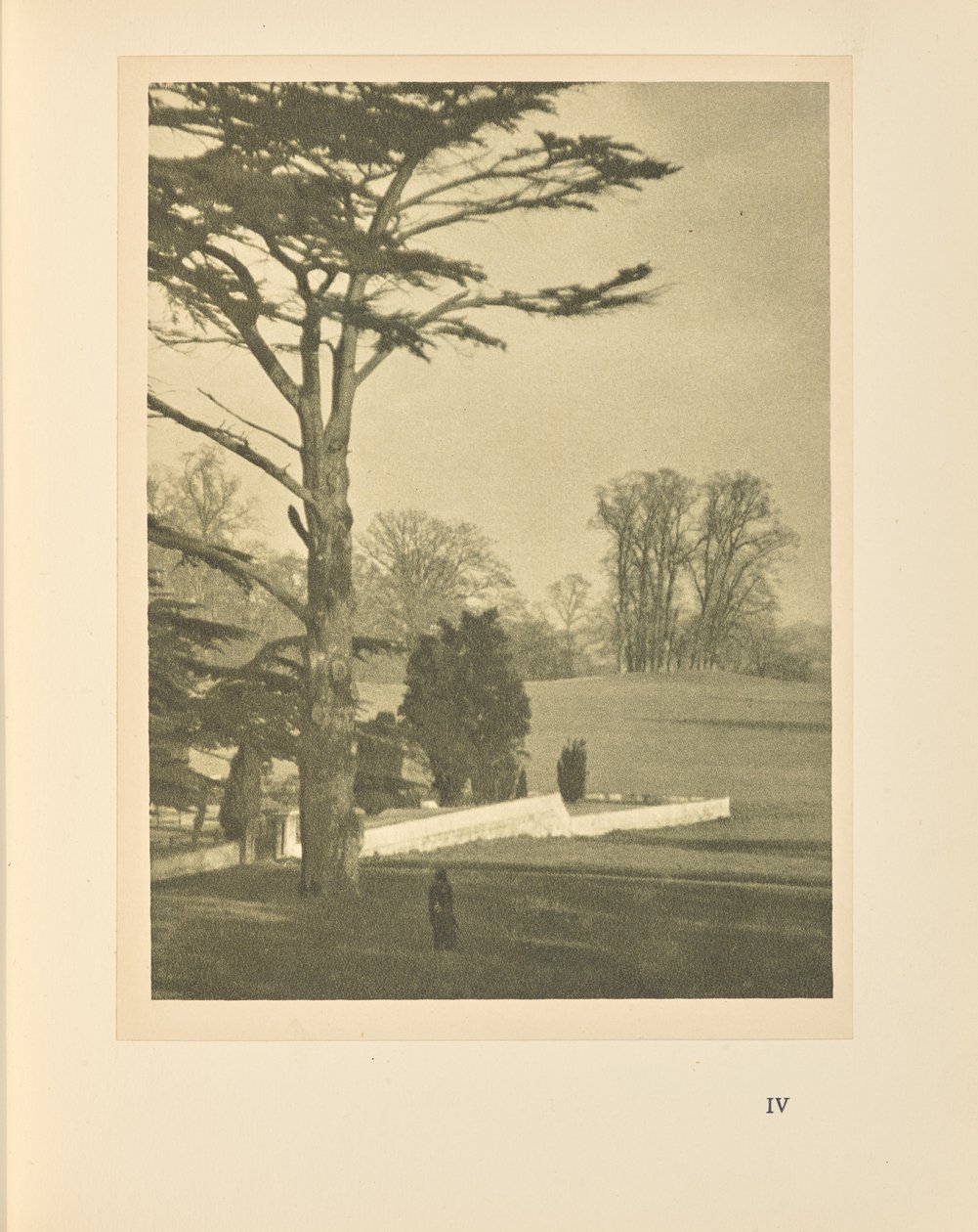 Krawędź ogrodu autorstwa Alvin Langdon Coburn