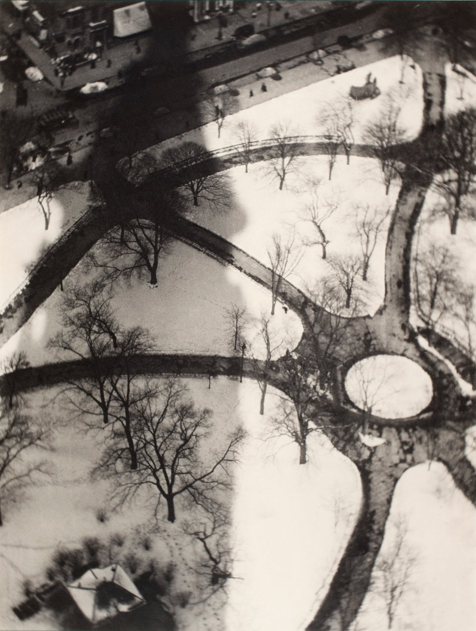 Ośmiornica, Nowy Jork autorstwa Alvin Langdon Coburn