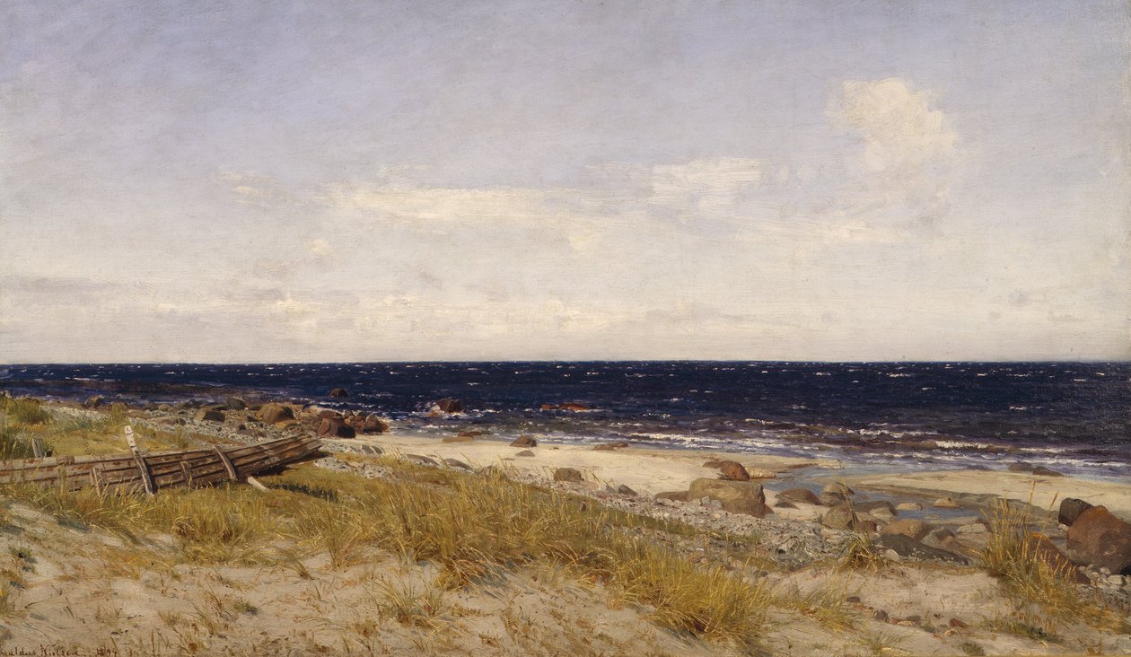 Świeża woda autorstwa Amaldus Nielsen