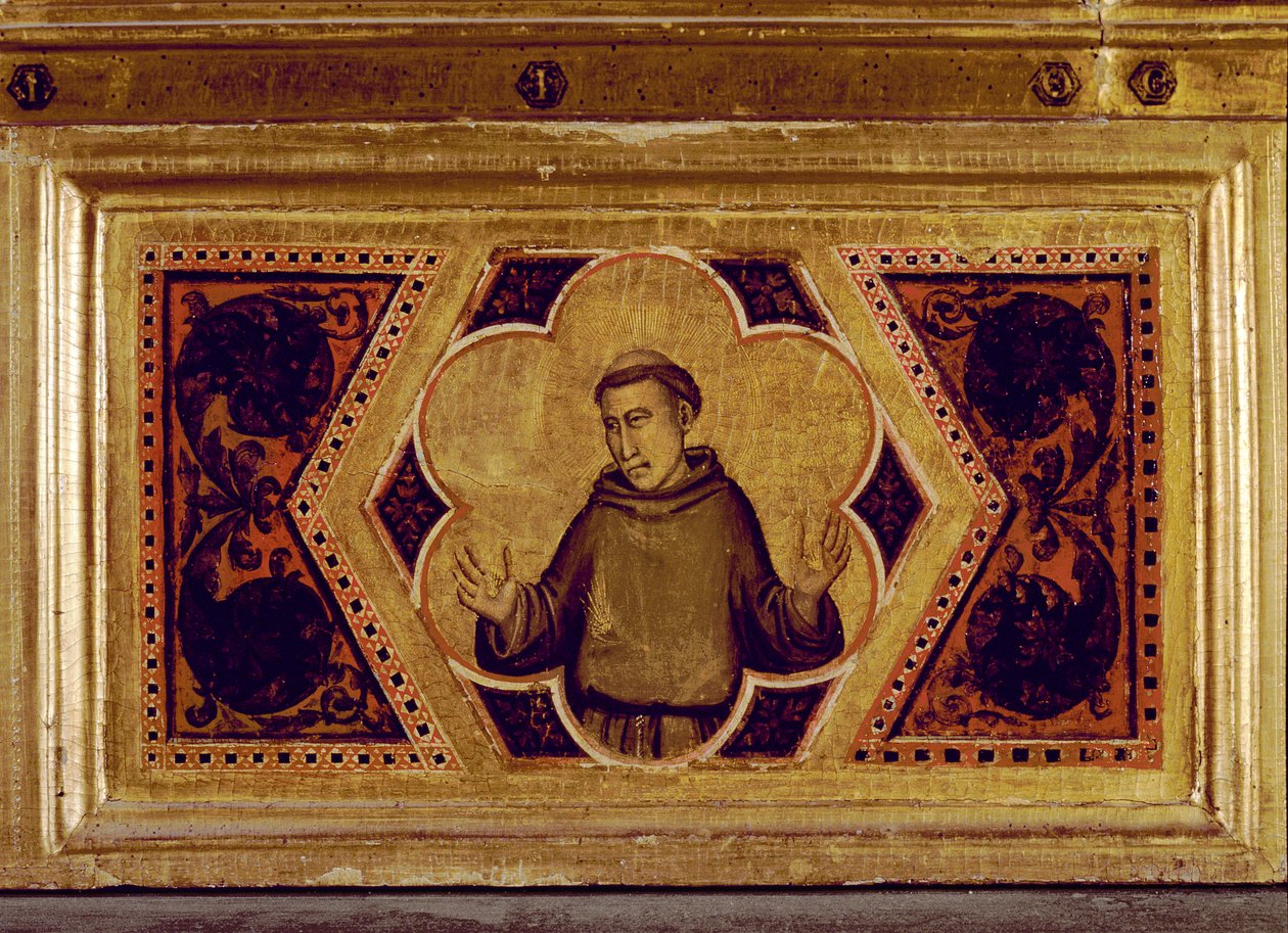 Św. Franciszek z Asyżu, z Poliptyku Koronacji Dziewicy (środkowa prawa predella) (patrz także 65540-65551) autorstwa Ambrogio Bondone Giotto