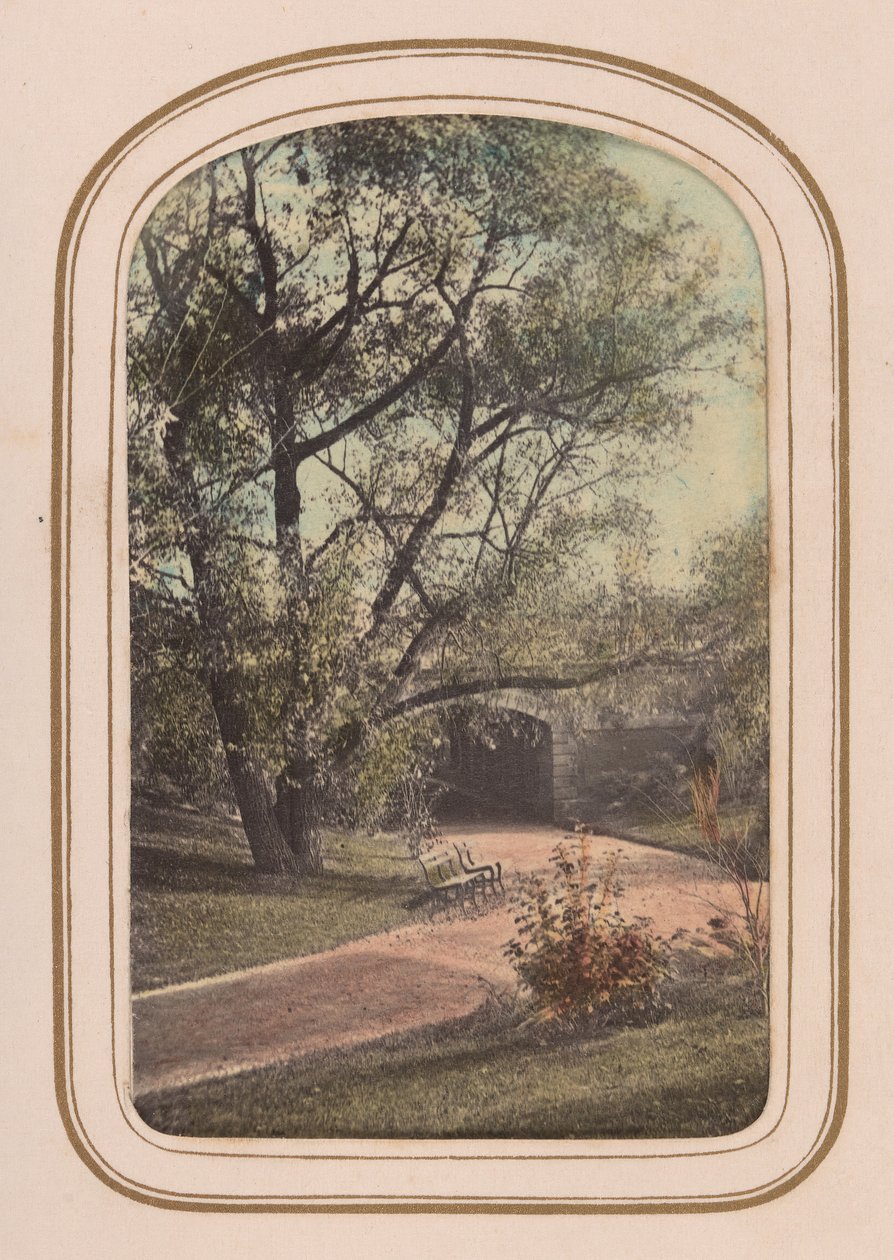 Carte-de-visite Album widoków Central Parku, 1860. autorstwa Ambrose Jackson