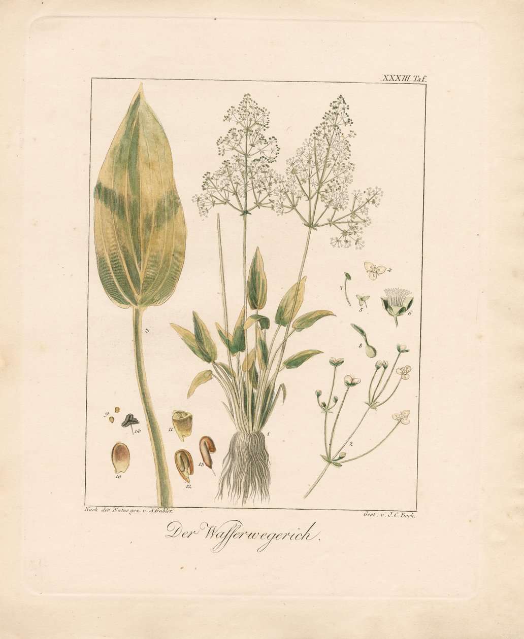  autorstwa Ambrosius Gabler