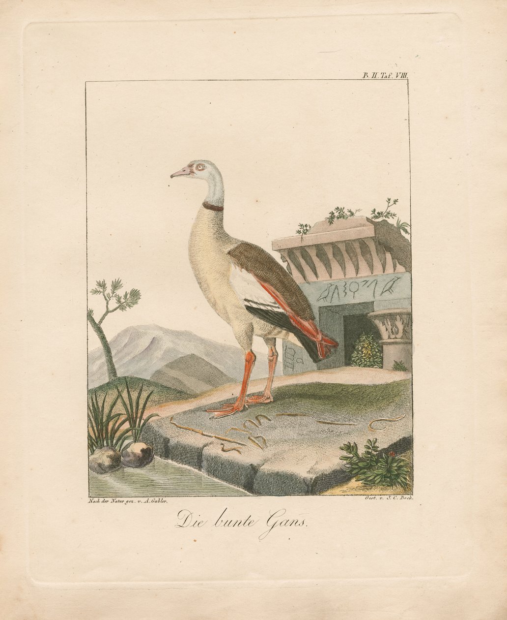  autorstwa Ambrosius Gabler
