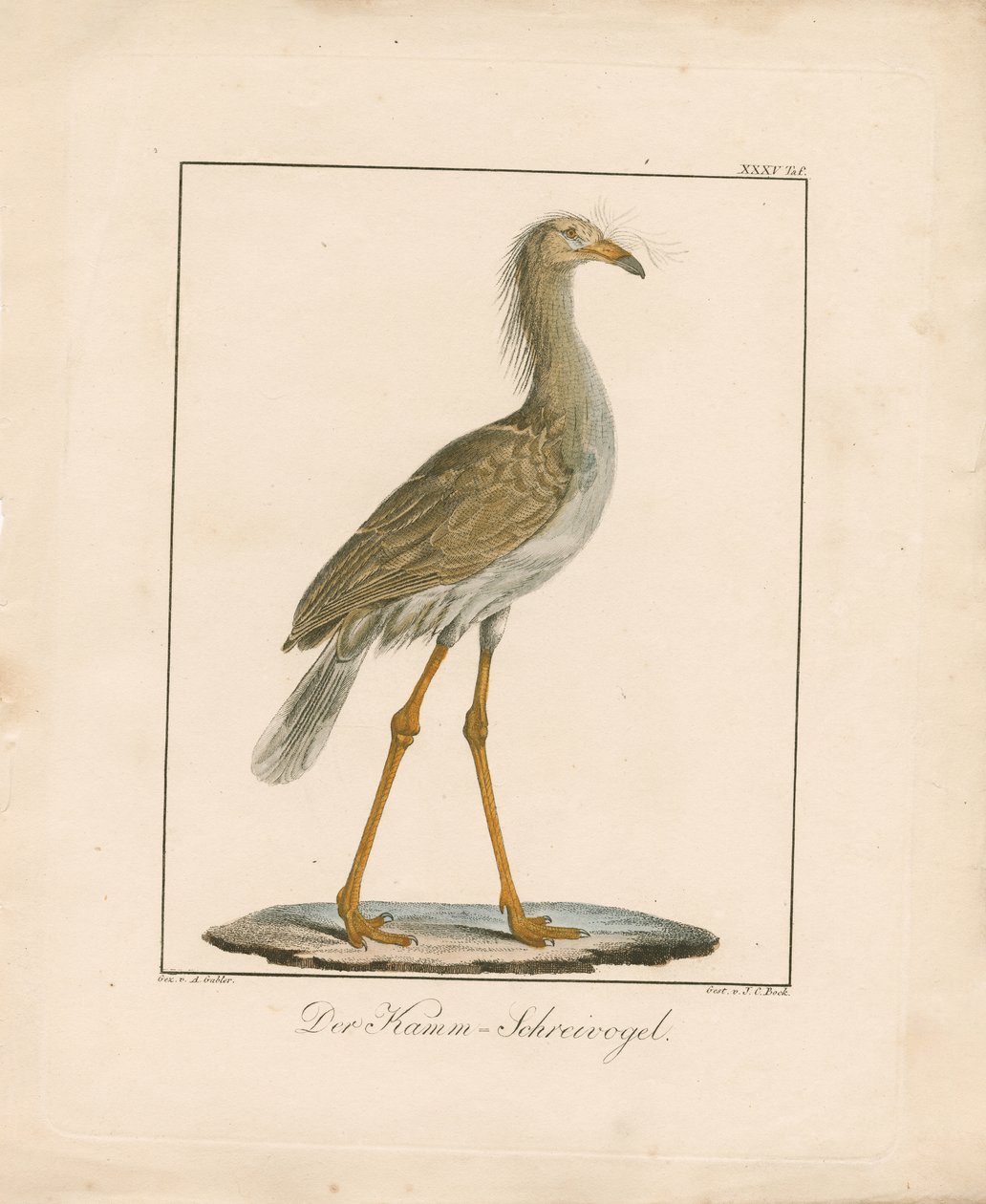  autorstwa Ambrosius Gabler