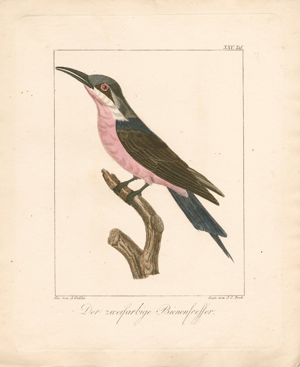  autorstwa Ambrosius Gabler