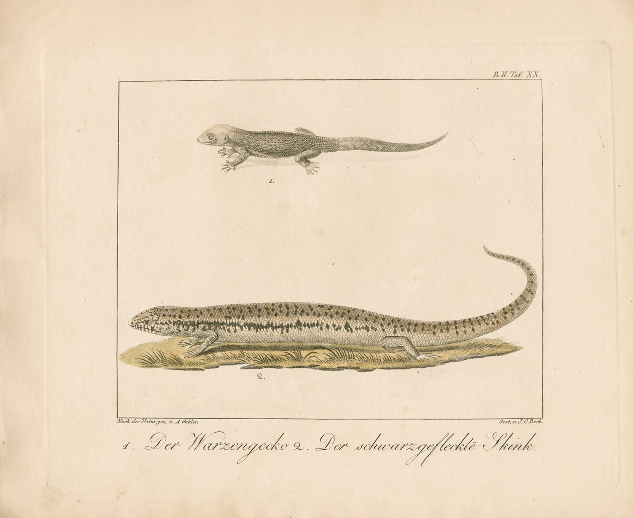  autorstwa Ambrosius Gabler