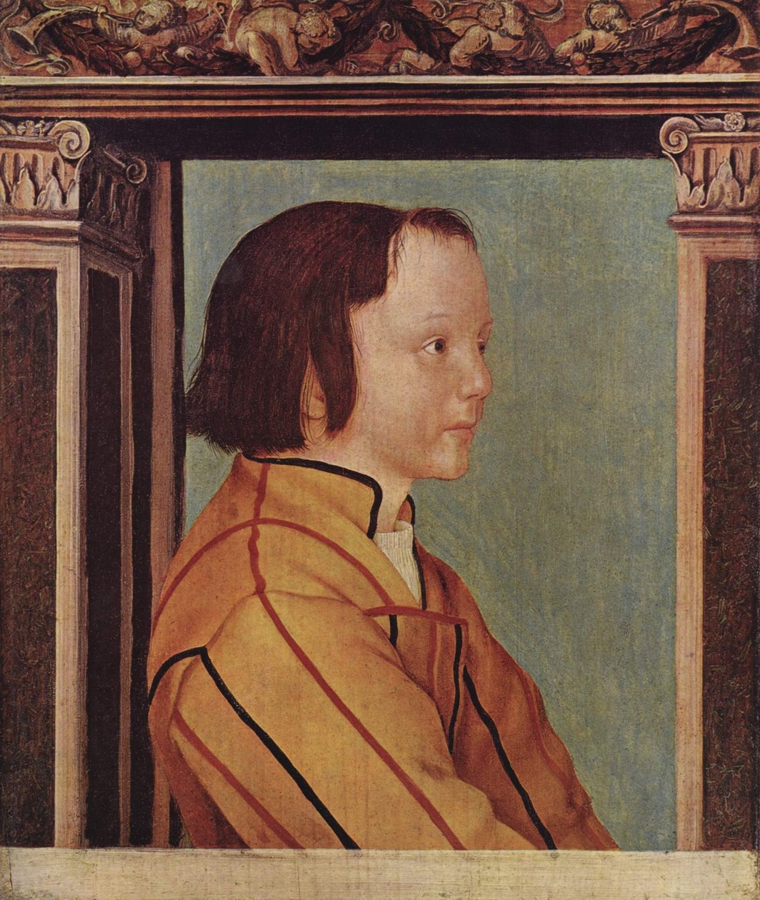 Chłopiec z brązowymi włosami autorstwa Ambrosius Holbein