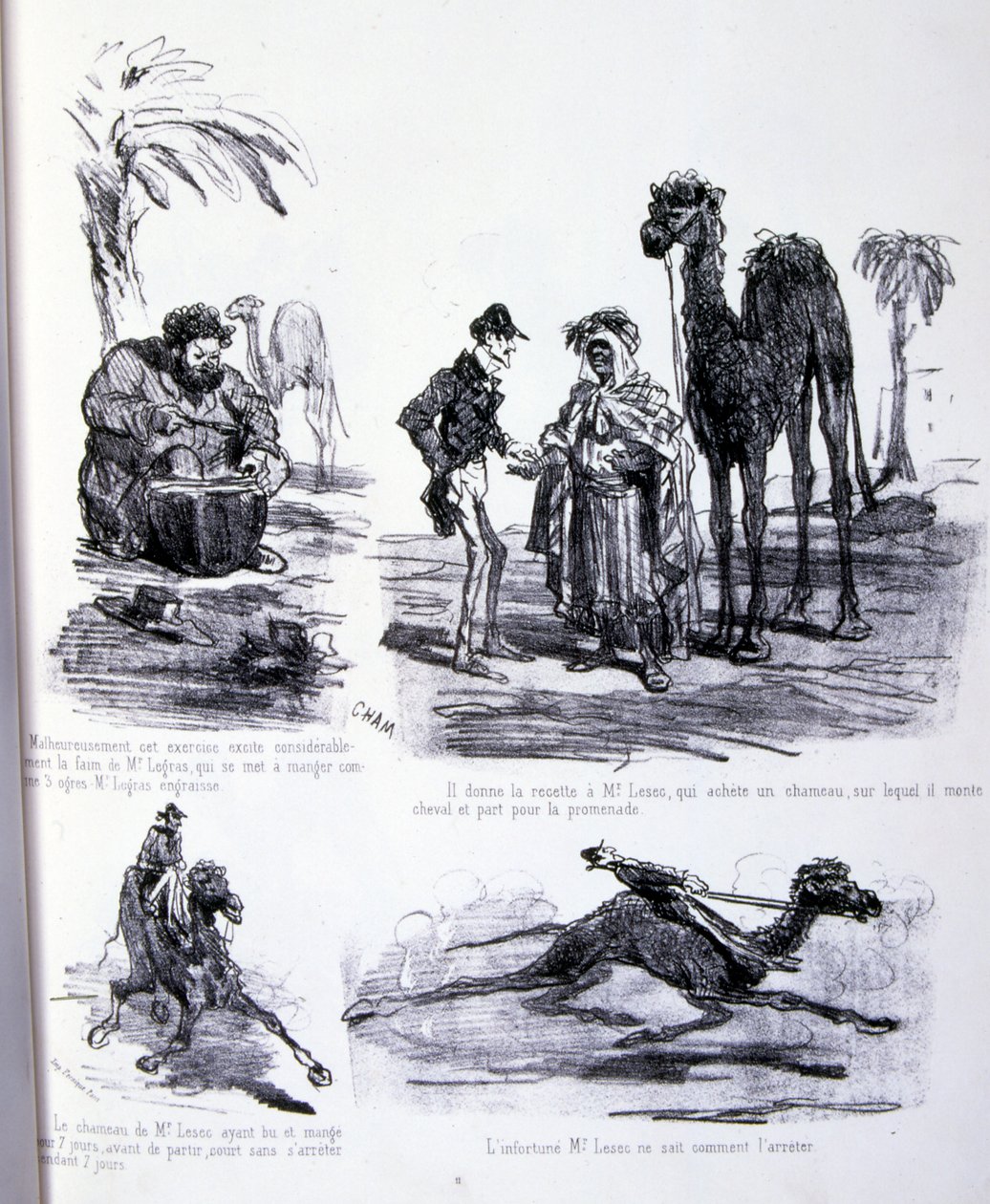 ilustracja do Sztuki tuczu i odchudzania autorstwa Amédée de Noé