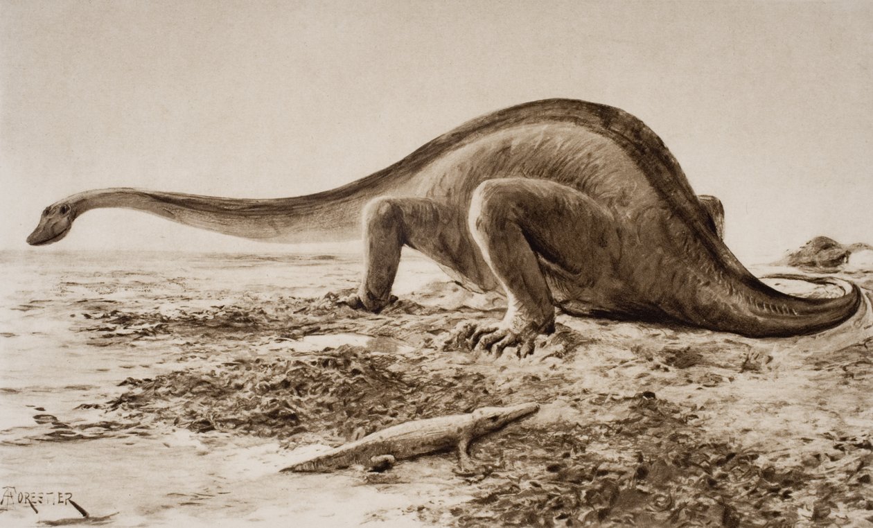 Brachiozaur autorstwa Amedee Forestier