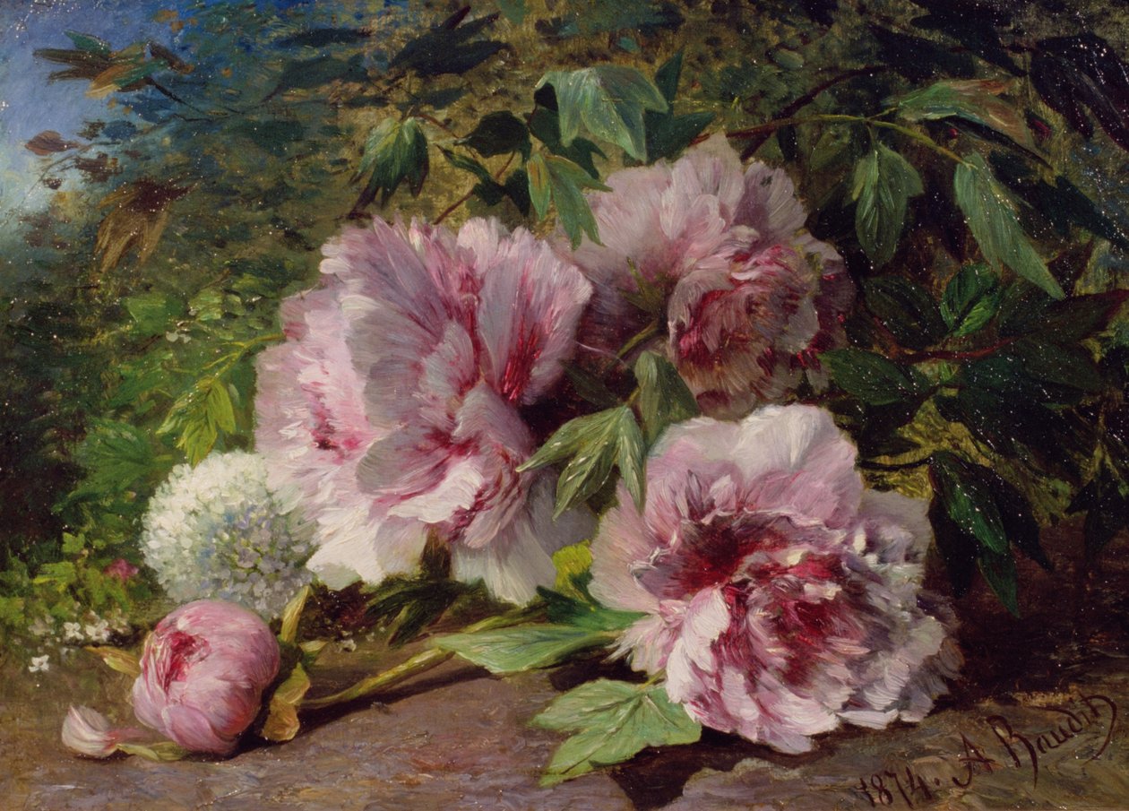 Studium piwonii, 1874 autorstwa Amedee Baudit