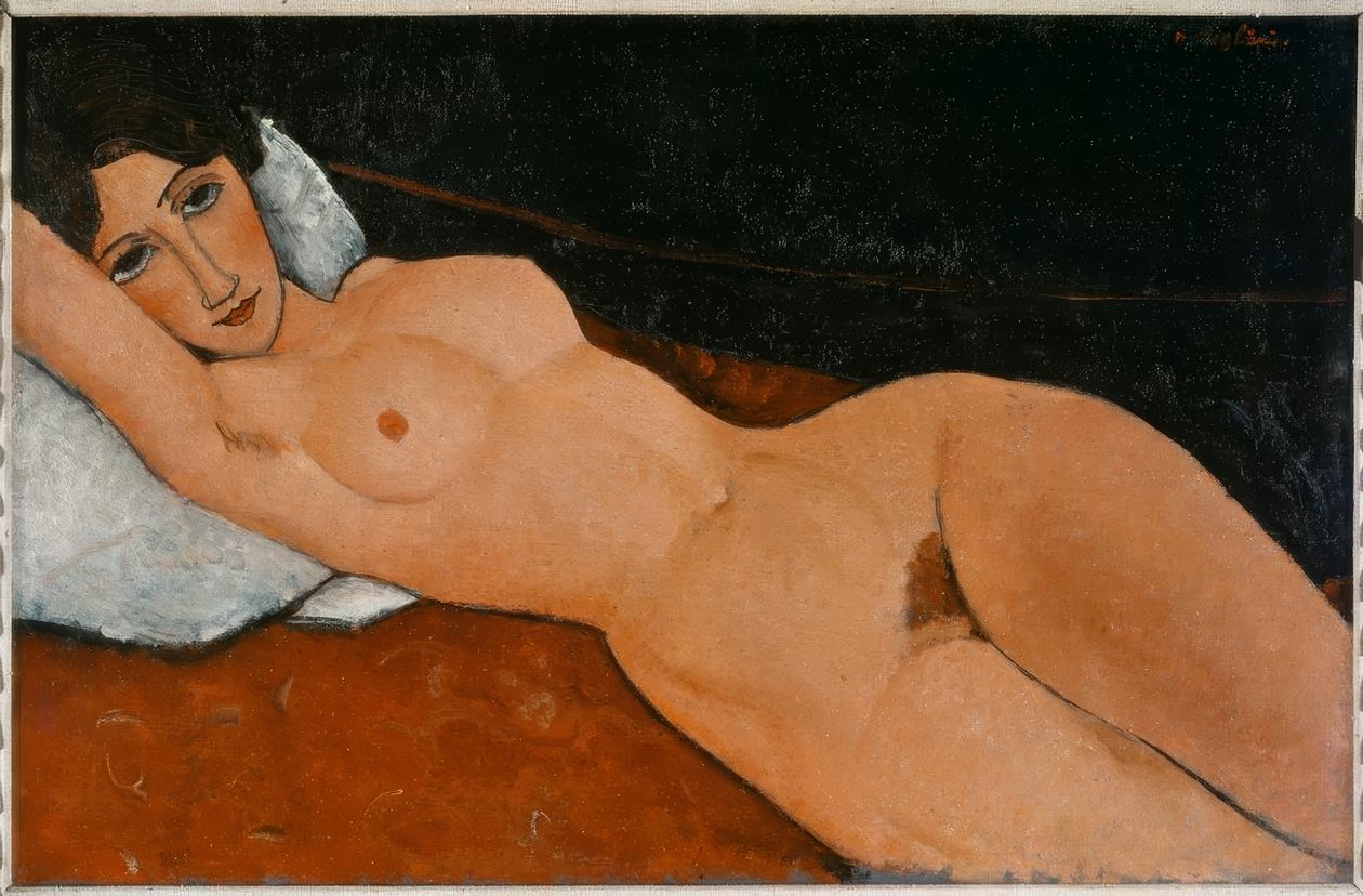 Leżąc nago na białej poduszce autorstwa Amedeo Modigliani
