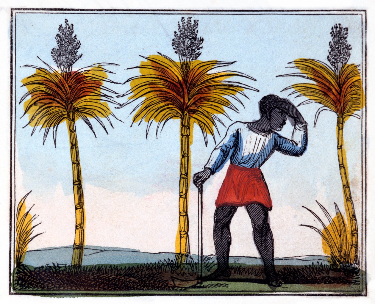 Cięcie trzciny cukrowej, 1826 autorstwa Amelia Alderson Opie