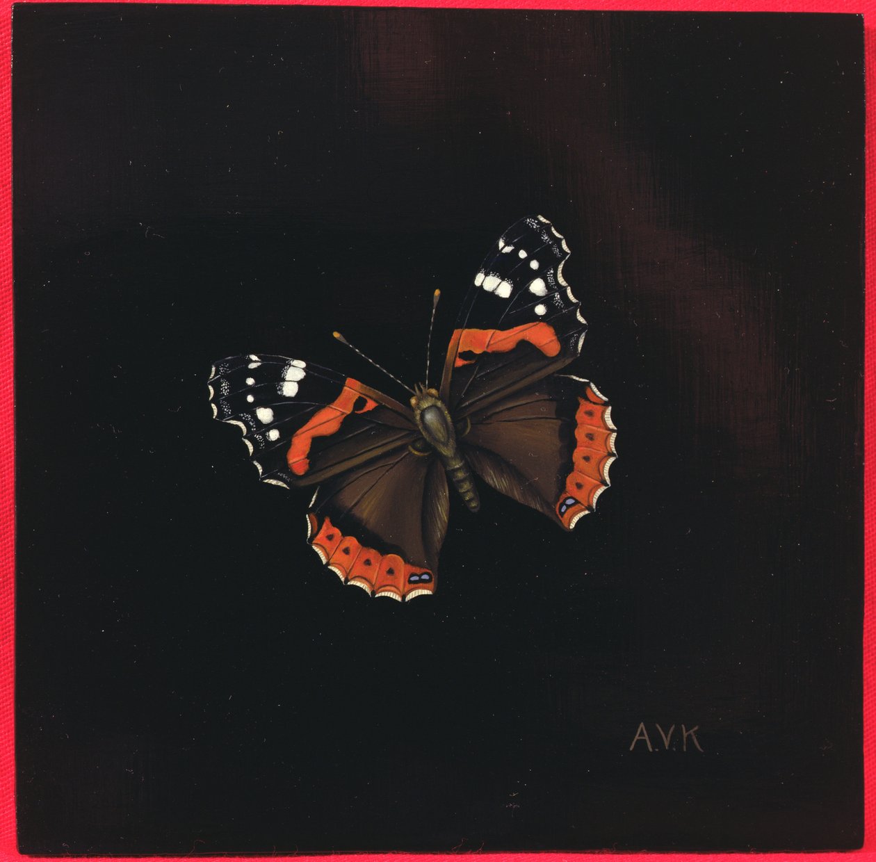 Czerwony motyl admirał, 2001 autorstwa Amelia Kleiser