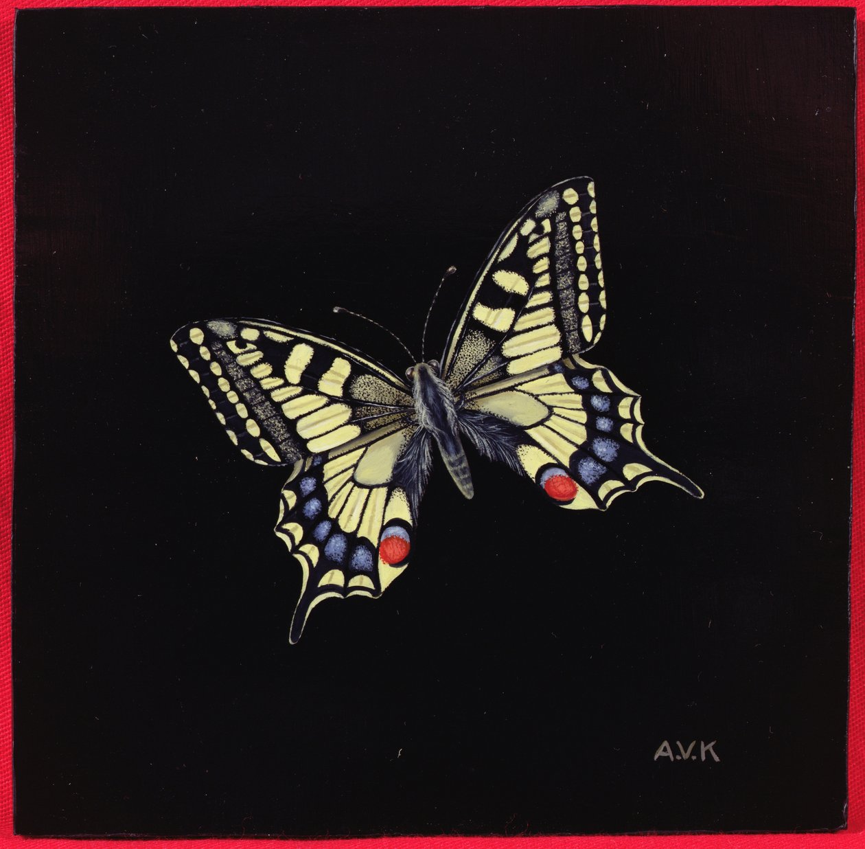 Jaskółczy ogon, 1999 autorstwa Amelia Kleiser