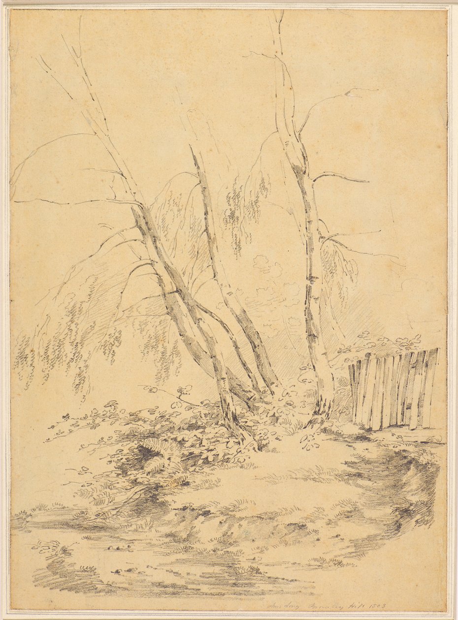 Bromley Hill autorstwa Amelia Long