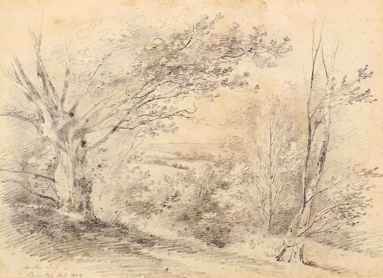 Bromley Hill autorstwa Amelia Long