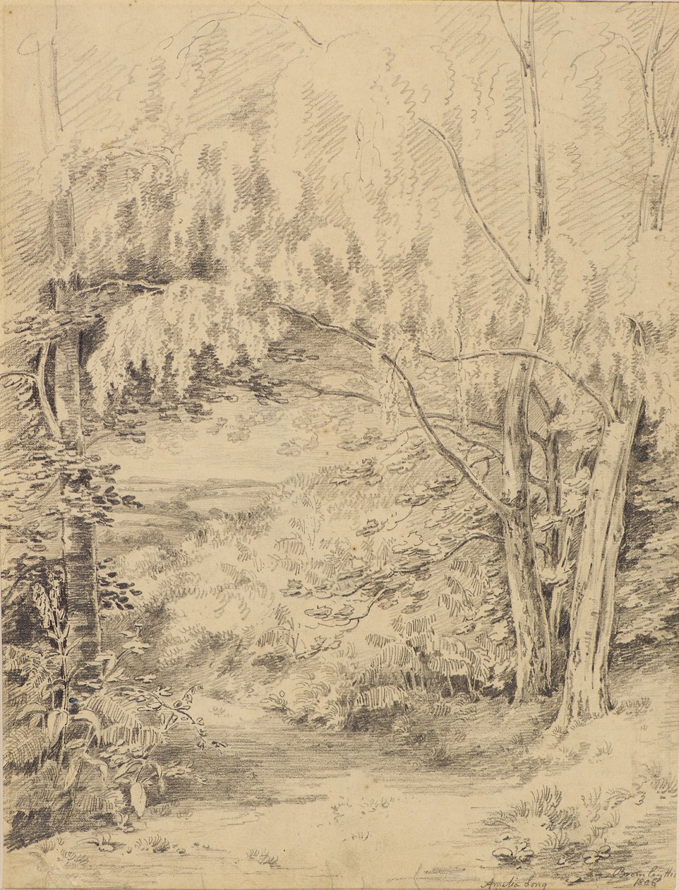 Bromley Hill autorstwa Amelia Long