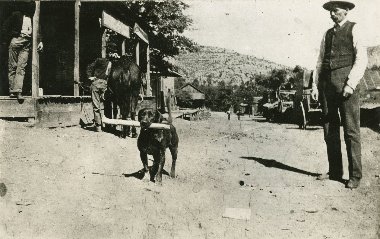 Butch Cassidy (1886-1908) autorstwa American Photographer