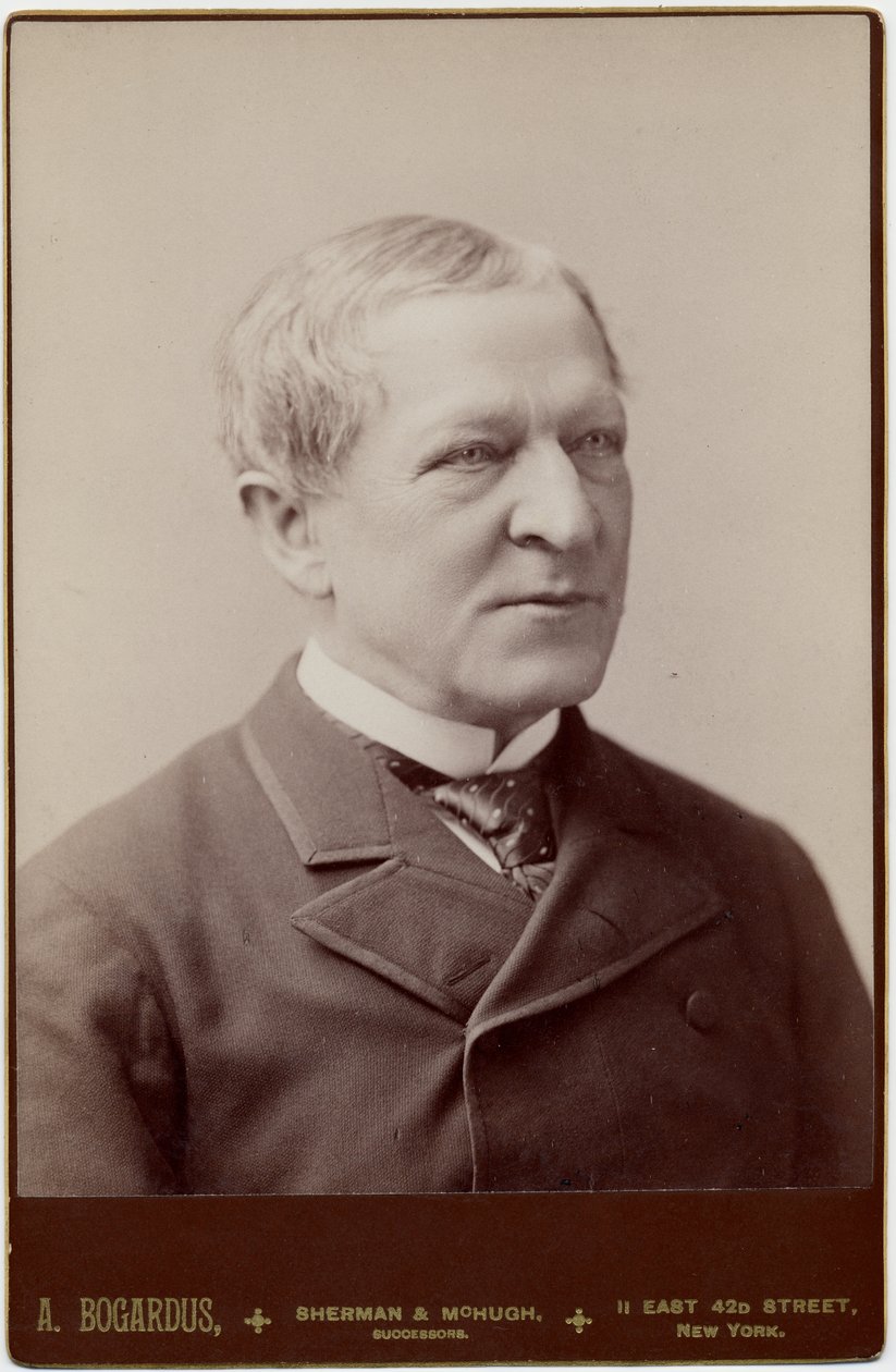 Levi Parsons Morton (1824-1920), 22. wiceprezydent USA; fot. A Bogardus, Nowy Jork (zdjęcie albumu) autorstwa American Photographer