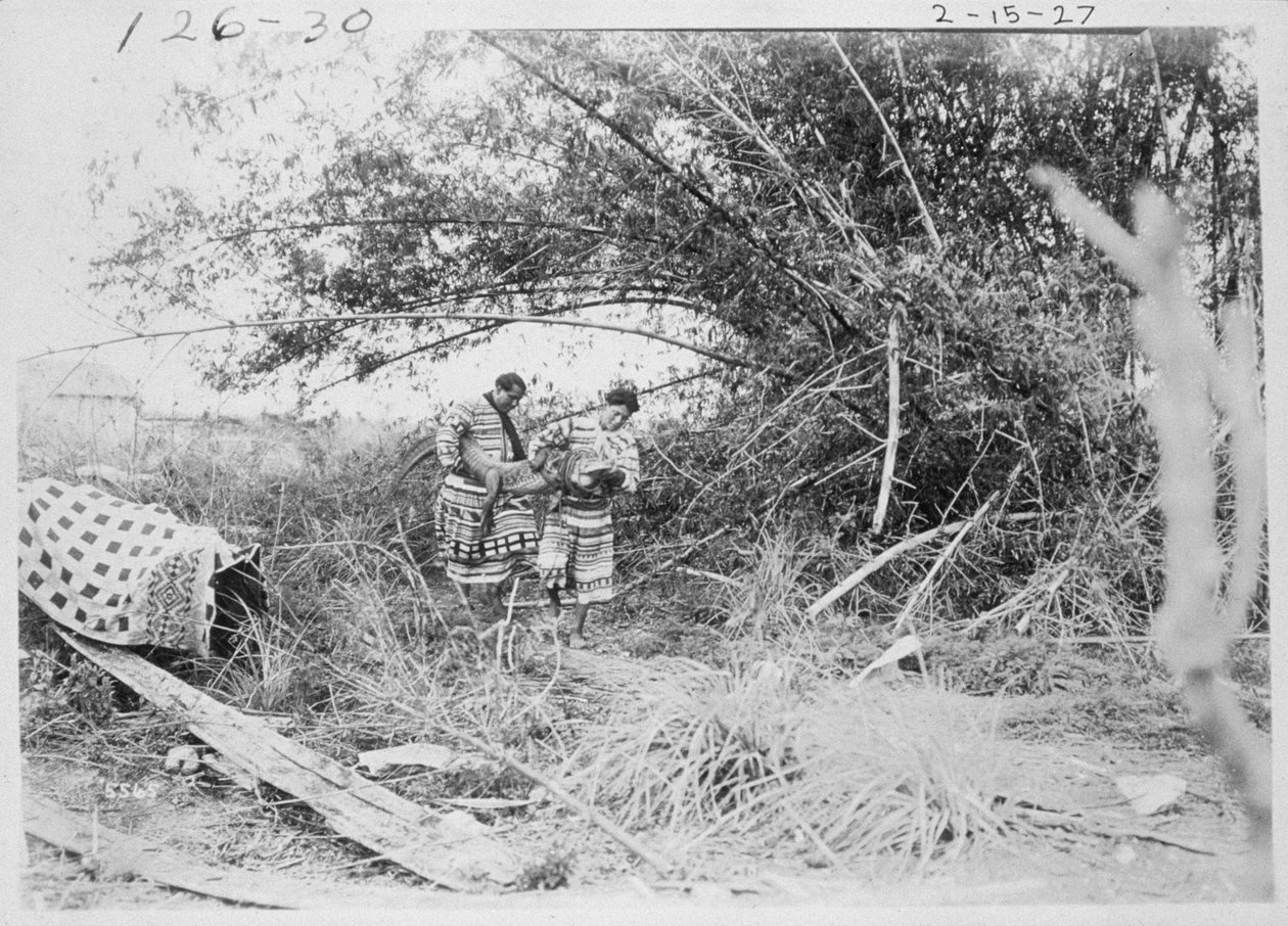 Indianie Seminole ze schwytanym aligatorem autorstwa American Photographer