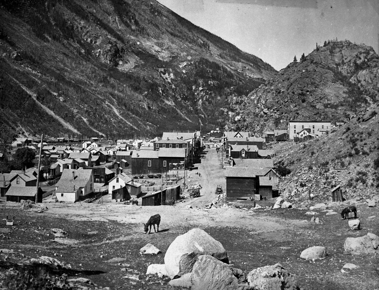 Srebrny Pióropusz - przed pożarem 5 listopada 1884 r. ok. 1880-84 autorstwa American Photographer