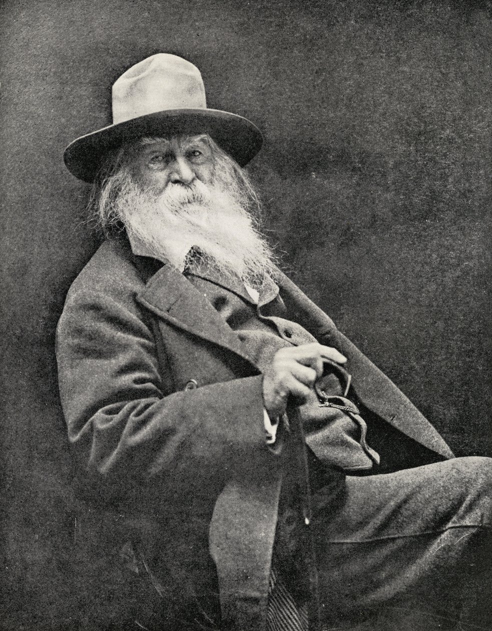 Walt Whitman (1819-91) autorstwa American Photographer
