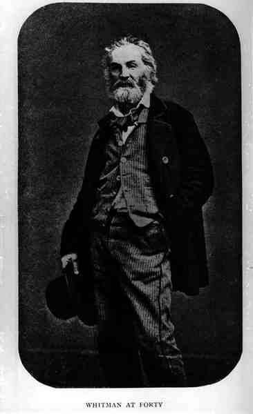 Walt Whitman (1819-92) autorstwa American Photographer