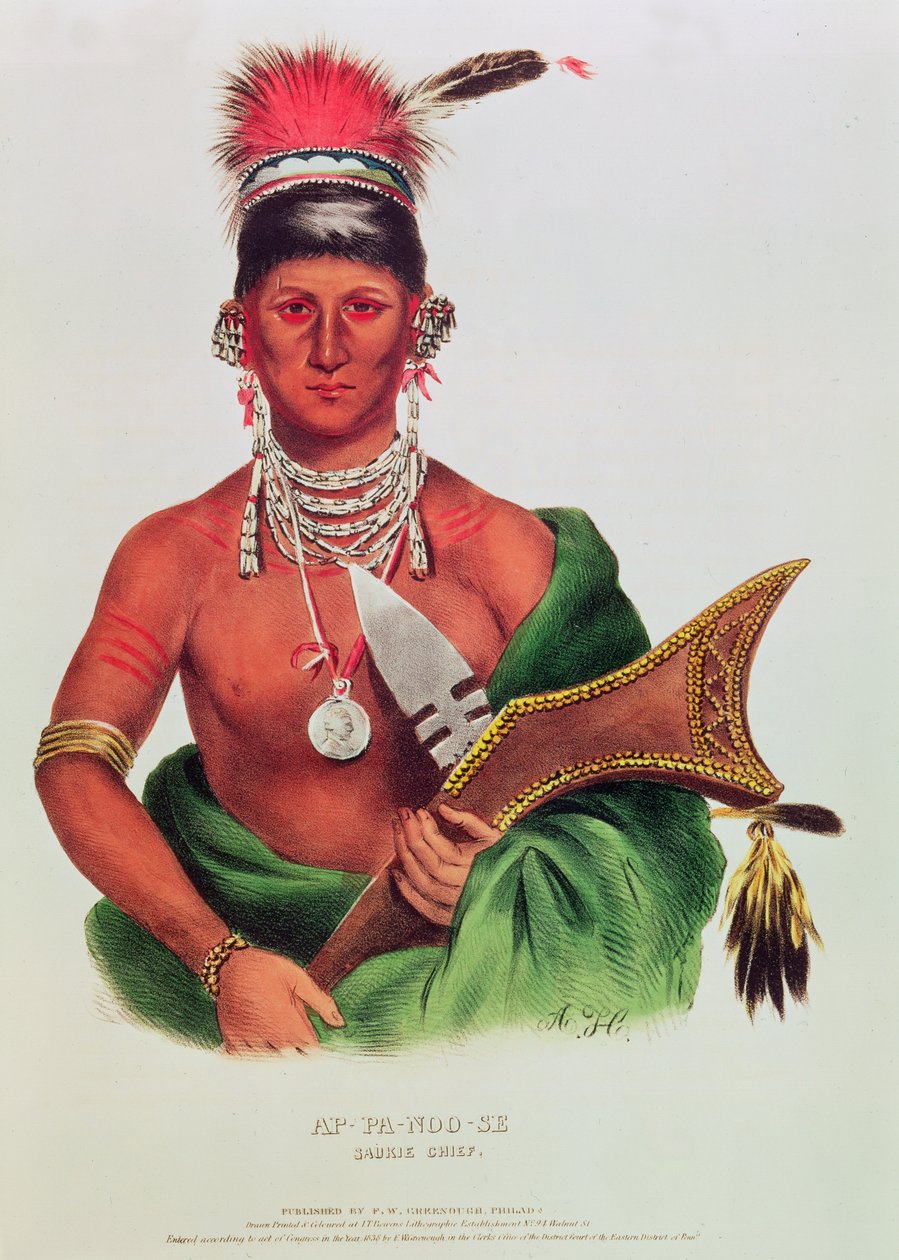 Ap-Pa-Noo-Se, Saukie Chief autorstwa American School