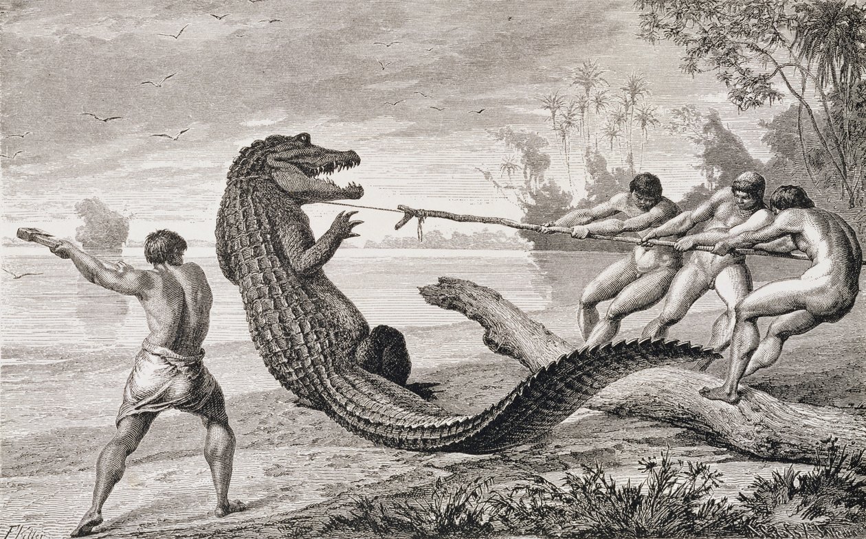 Łapanie aligatora na lasso, z „Rzek Amazonki i Madery”, Franza Kellera, 1874 autorstwa American School