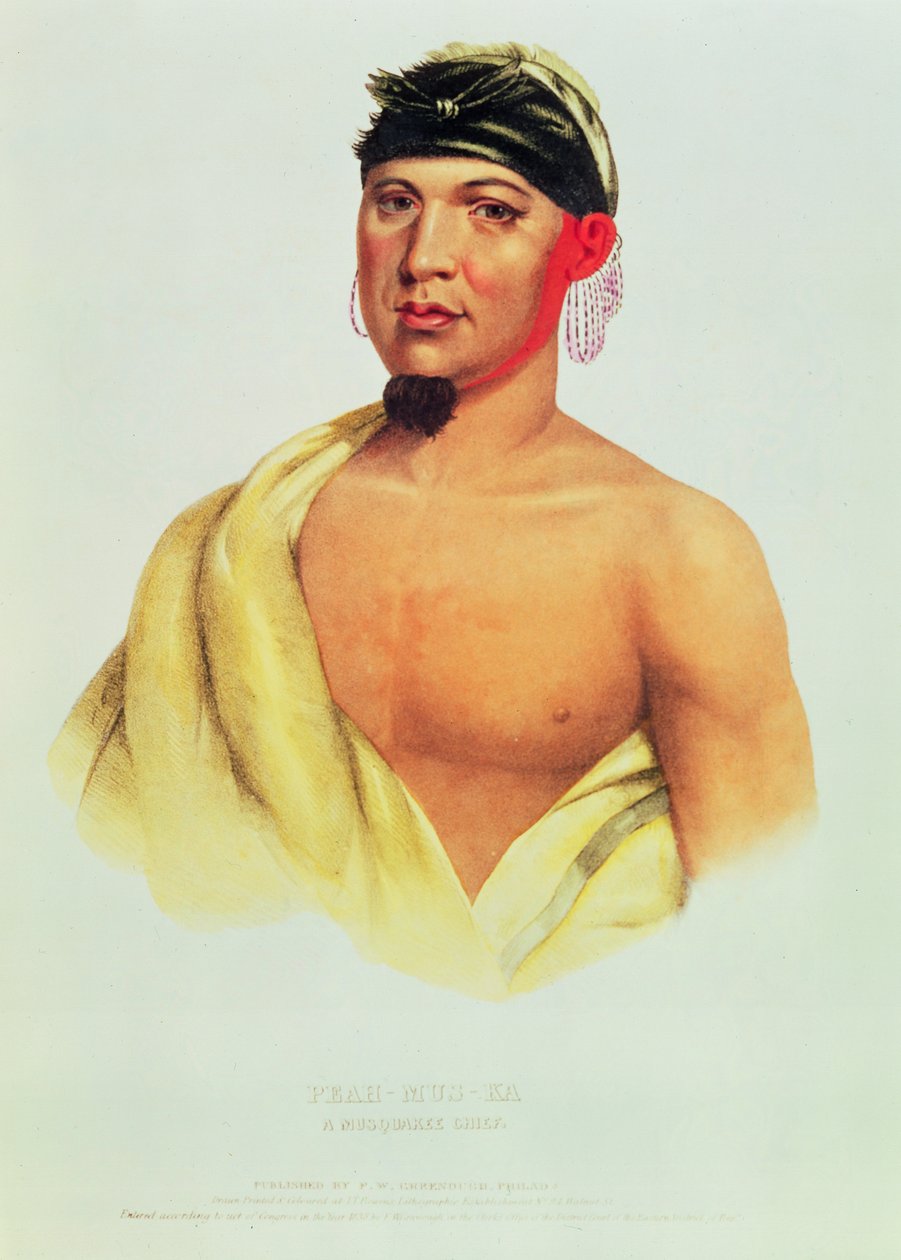 Peah-Mus-Ka i Musquakee Chief autorstwa American School