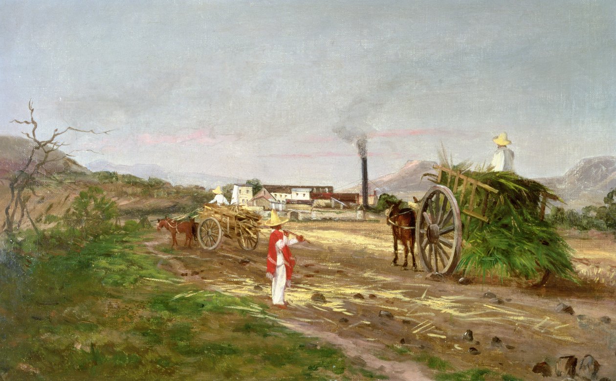 Chłopi zbierający trzcinę cukrową, Ameryka Środkowa, ok. 1840 r. autorstwa American School