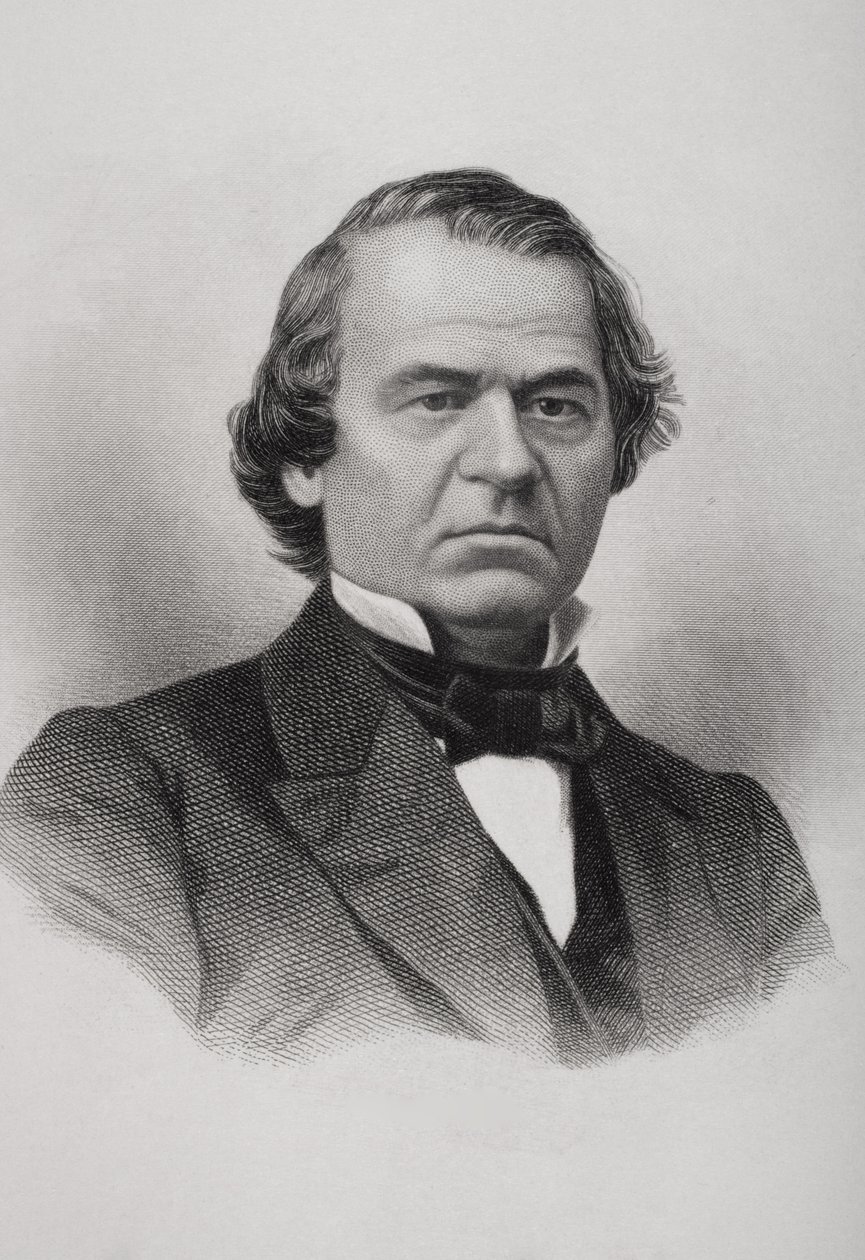 Portret Andrew Johnsona (1808-75) autorstwa American School