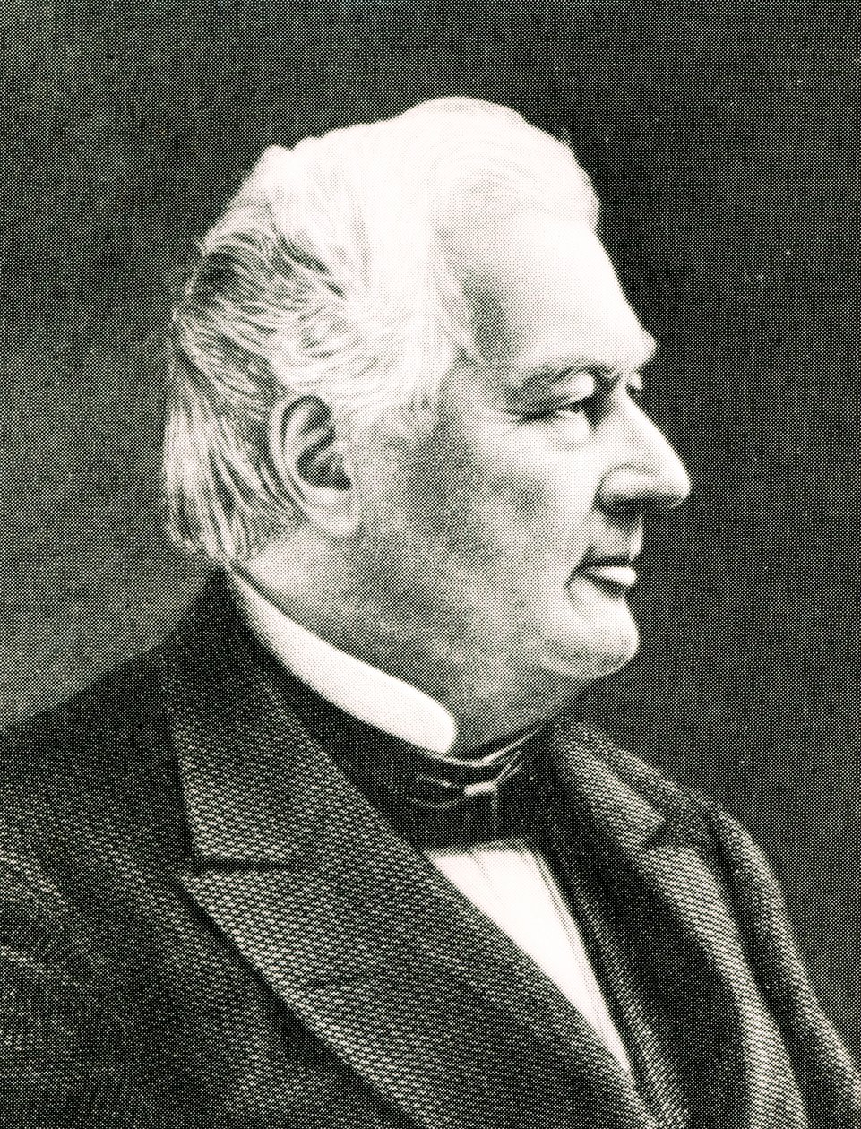 Portret Fillmore