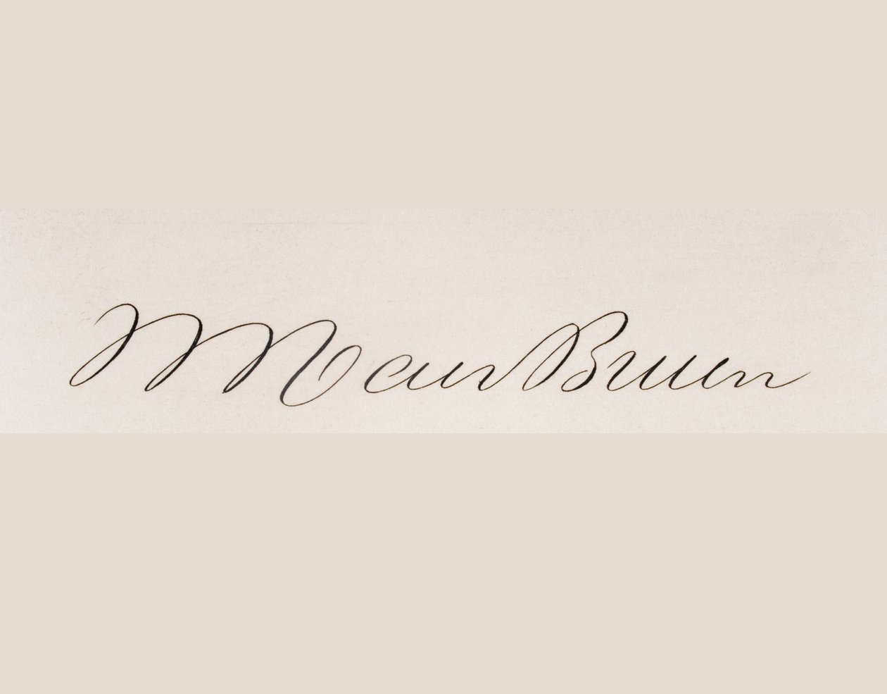 Podpis Martina van Buren autorstwa American School