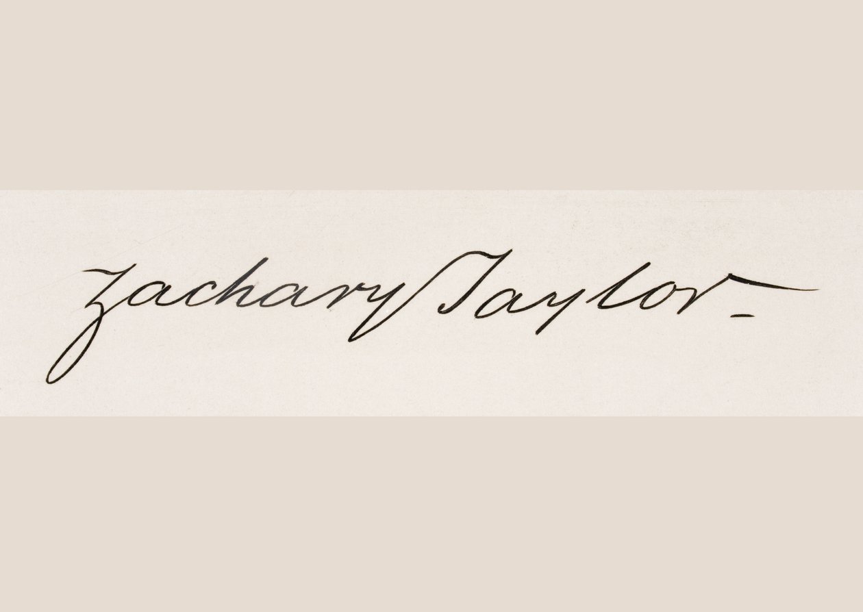 Podpis Zachary Taylor autorstwa American School