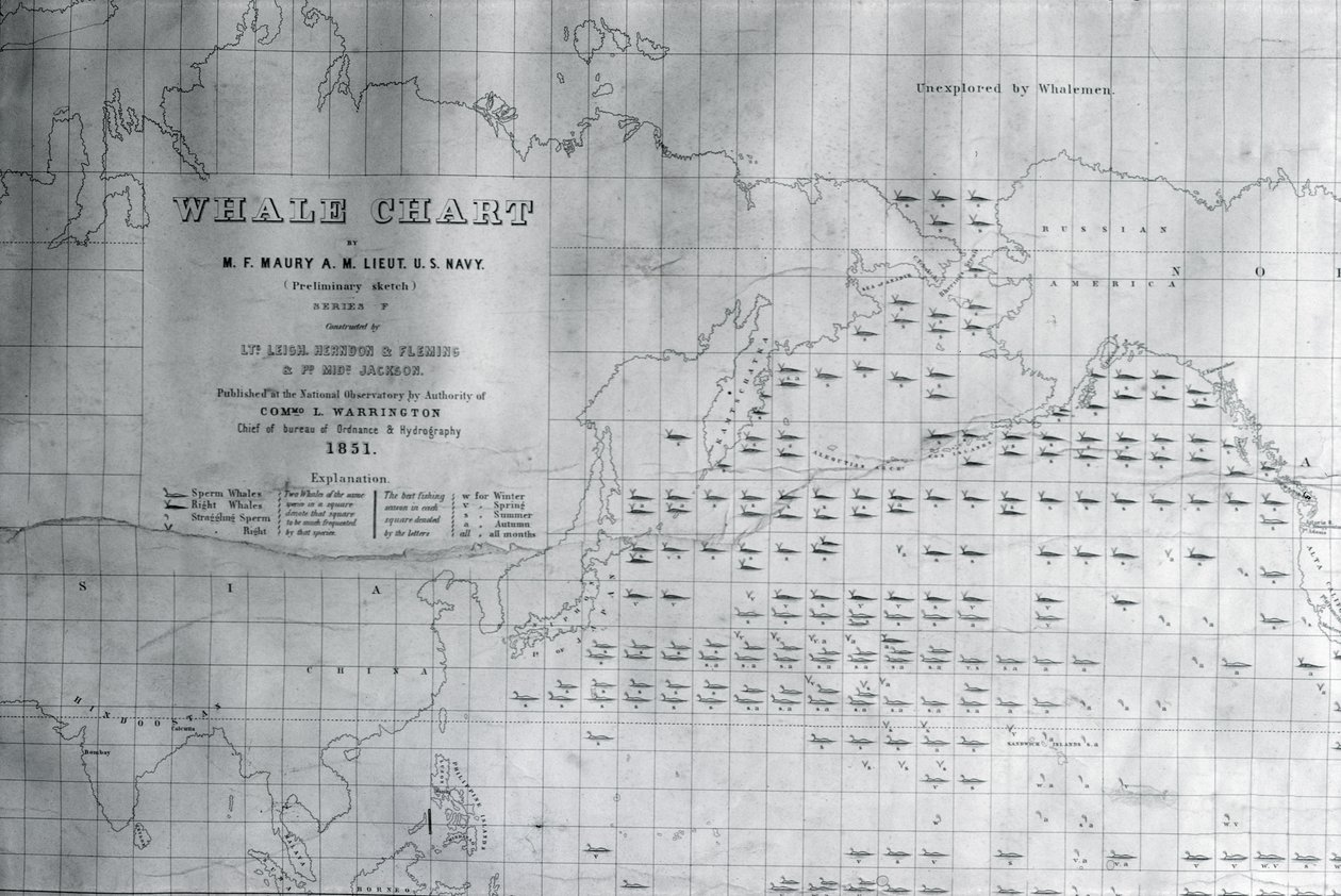 Mapa wielorybów na północnym Pacyfiku, 1851 r. autorstwa American School