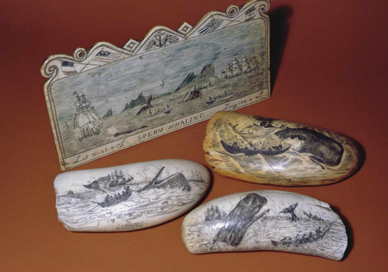 Wielorybnictwo Scrimshaw (ząb) autorstwa American School