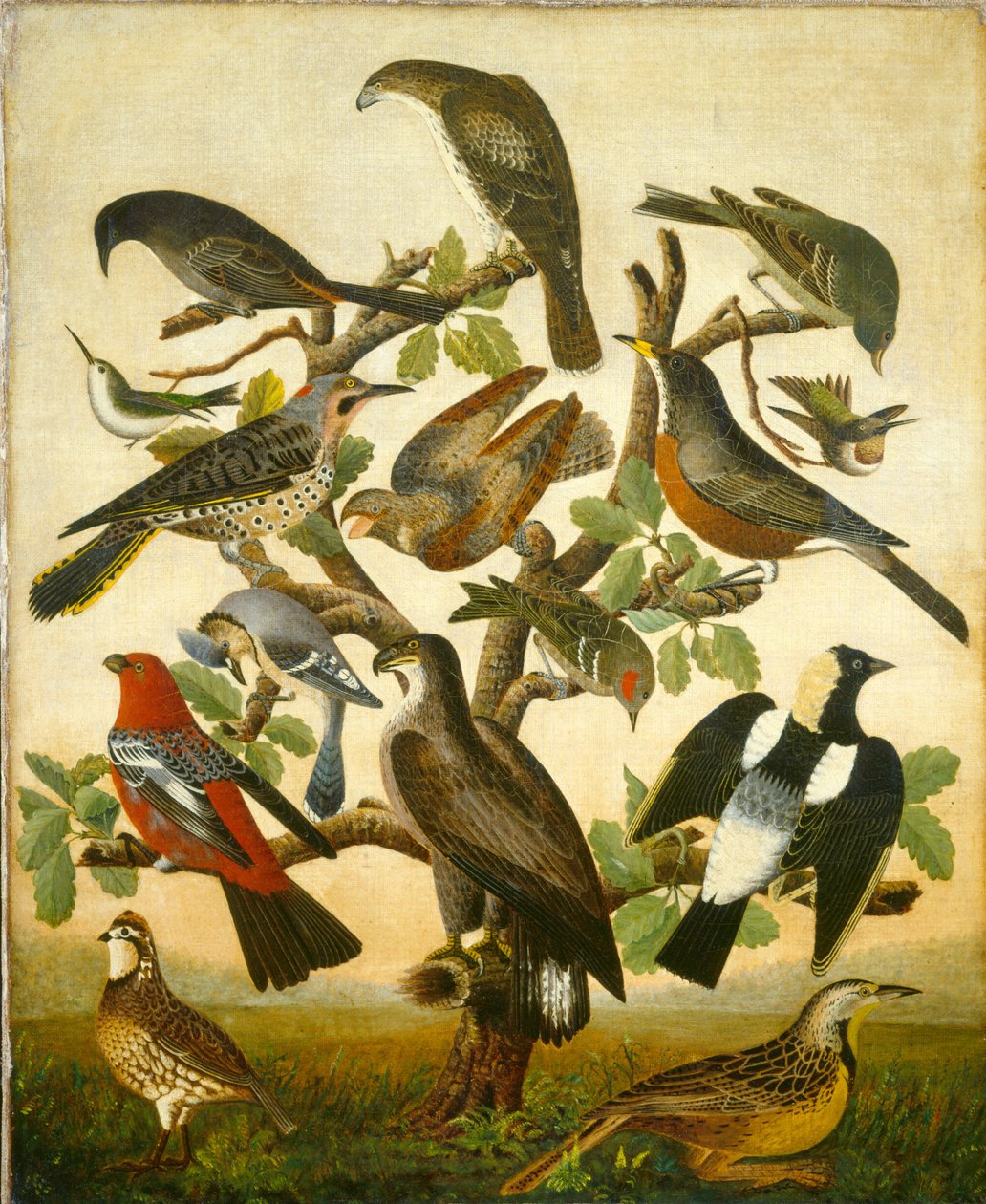 Ptaki autorstwa American 19th Century