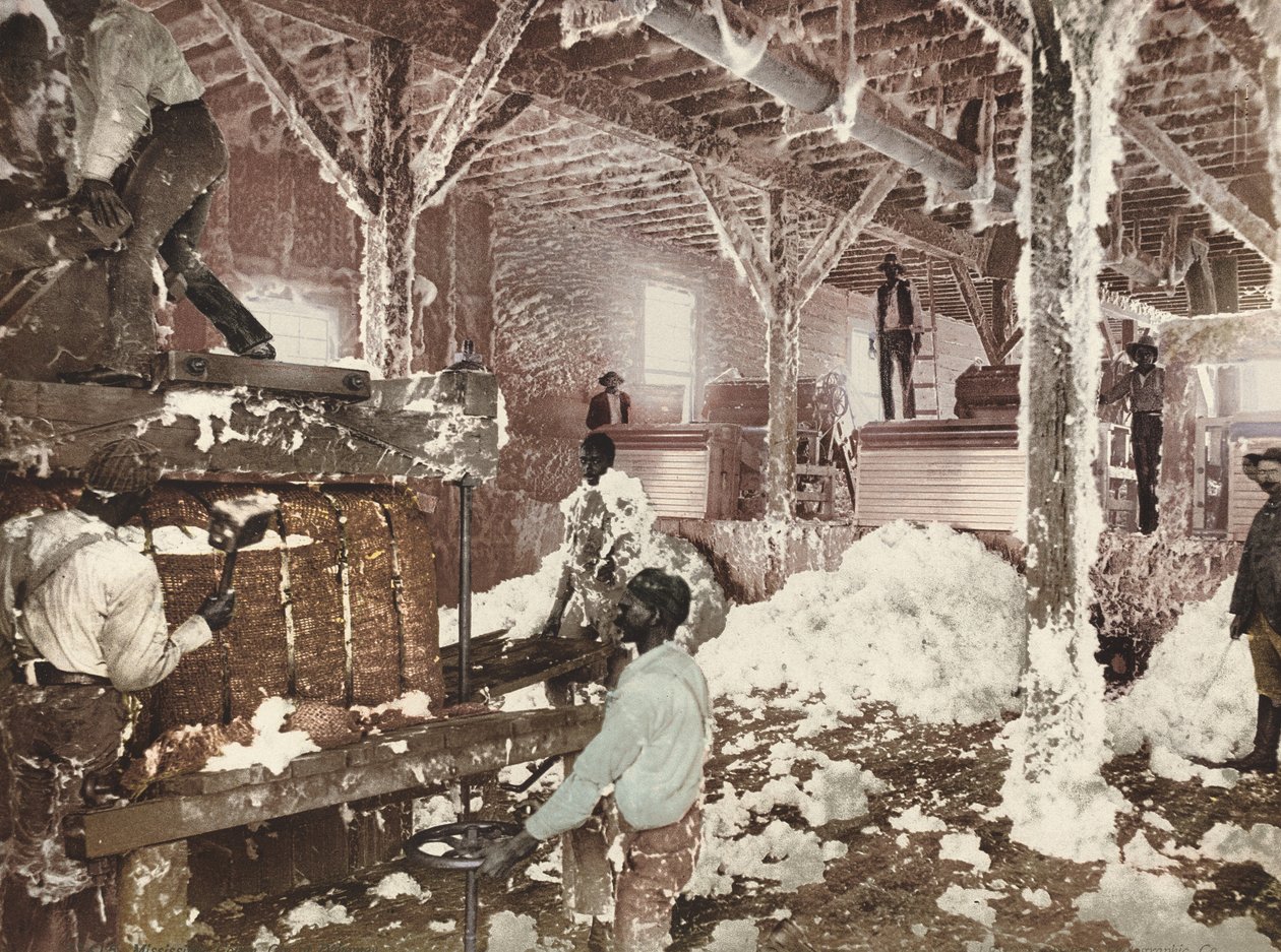 Mississippi Cotton Gin w Dahomey autorstwa American 19th Century, Detroit Photographic Company