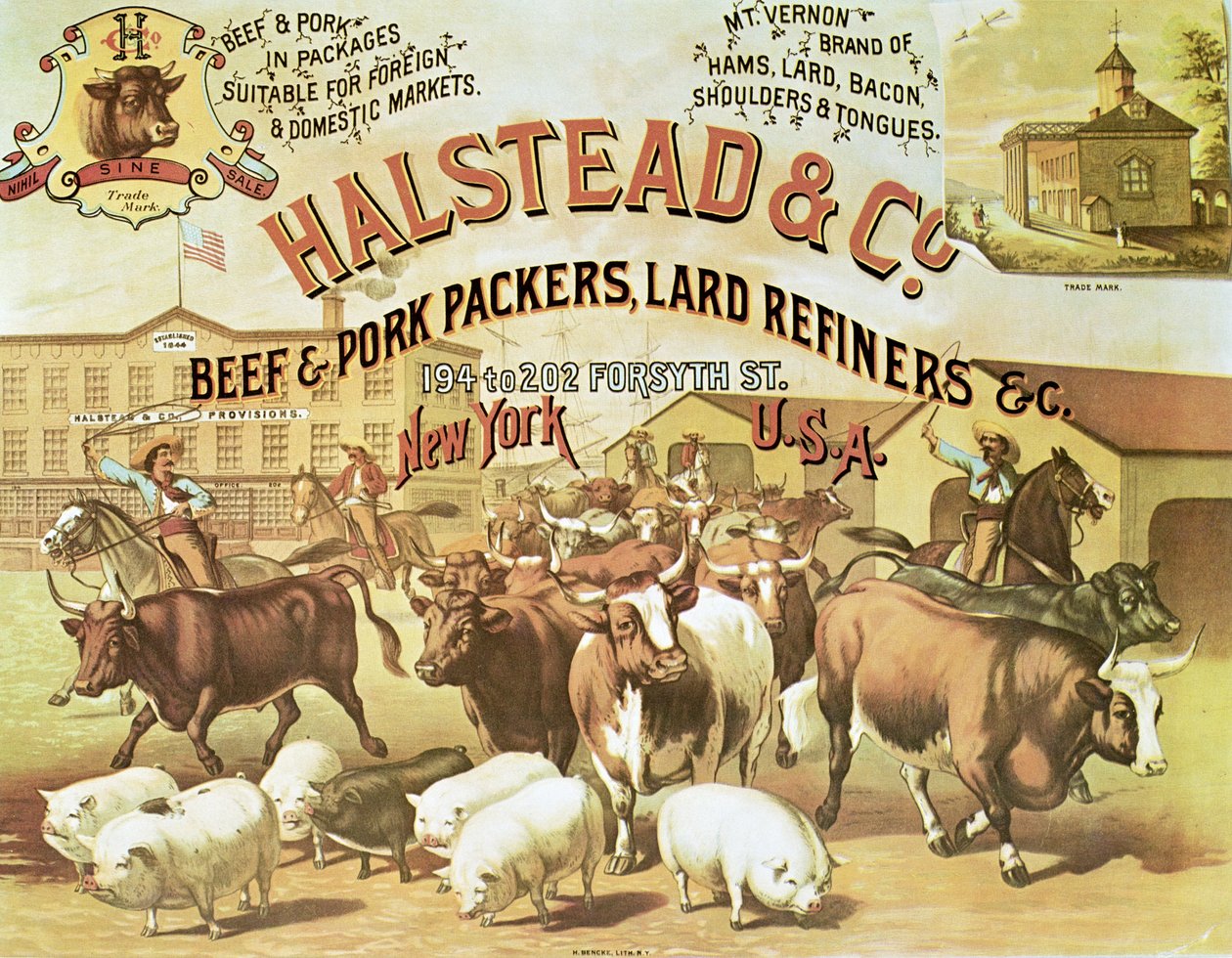 Beef & Pork Packers, ok. 1880 (kolor lito) autorstwa American Photographer