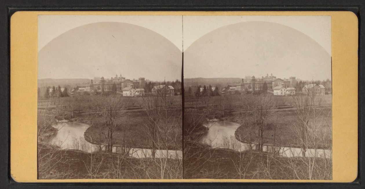 Budynki mieszkalne z lotu ptaka, ok. 1870 r. (zdjęcie czarno-białe) autorstwa American Photographer
