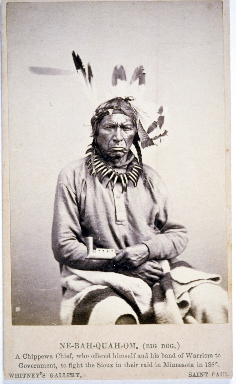 NE-BAH-QUAH-OM,Big Dog, Chippewa Chief, zaproponował walkę z Sioux w Minnesocie autorstwa American Photographer