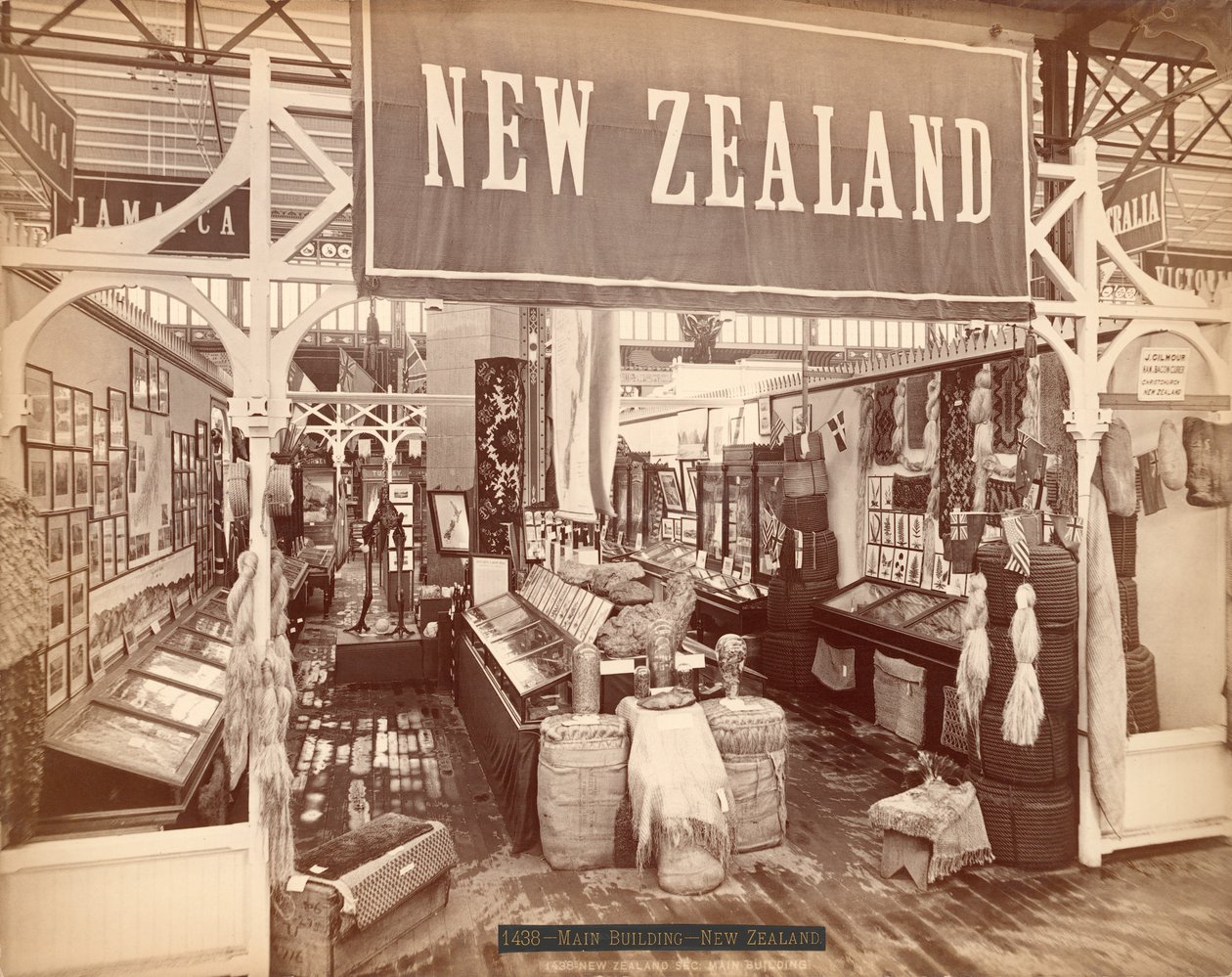Nowa Zelandia, Międzynarodowa Wystawa Stulecia, 1876 (odbitka albumowa) autorstwa American Photographer
