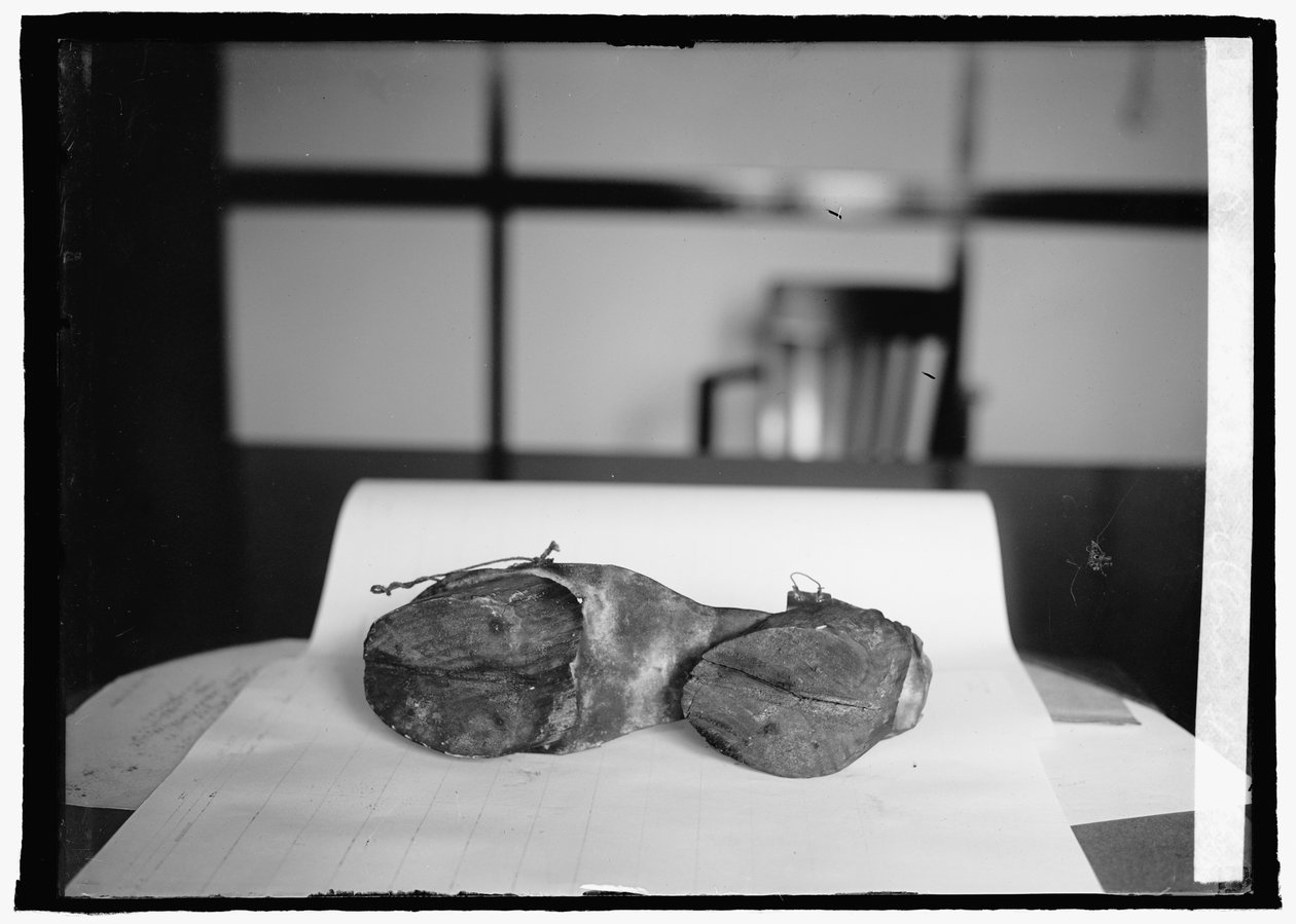Prohibition Unit (Cow Shoes), 28 czerwca 1924 (zdjęcie czarno-białe) autorstwa American Photographer