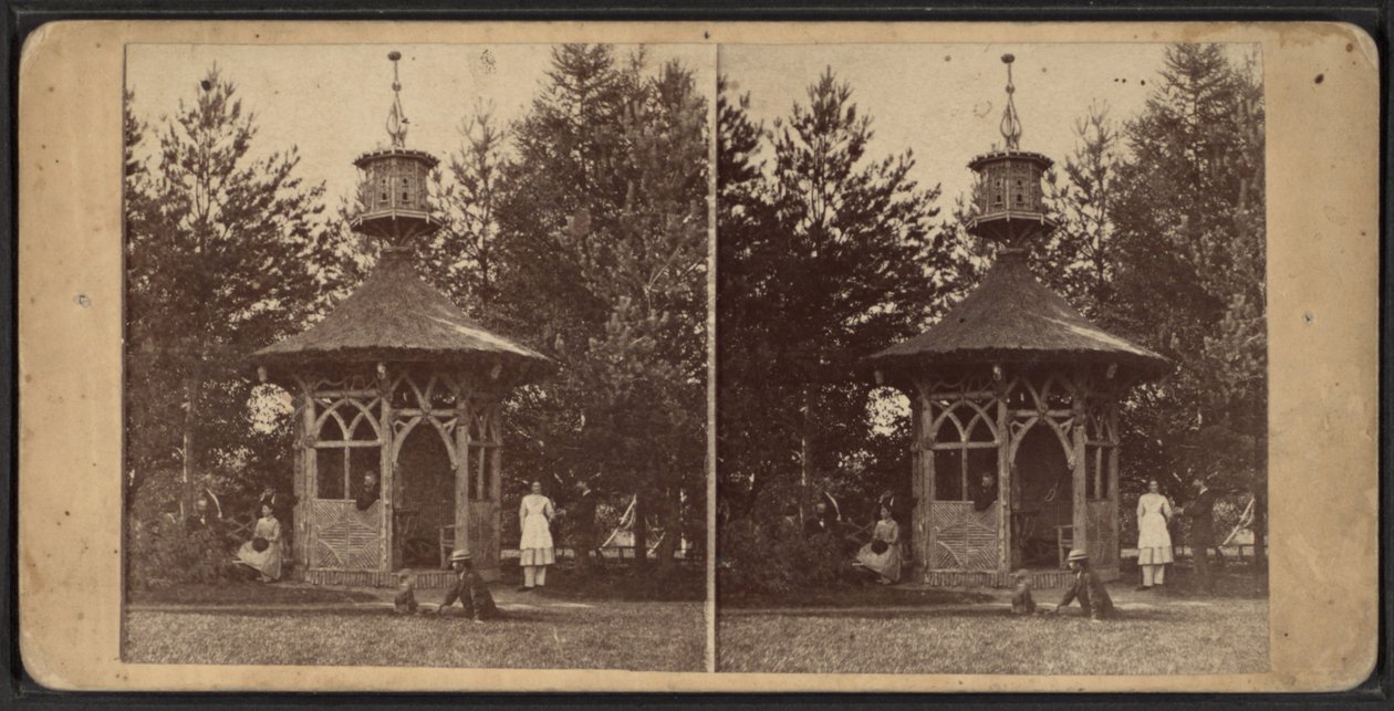 Summer House, Oneida Community, stan Nowy Jork, 1873 autorstwa American Photographer