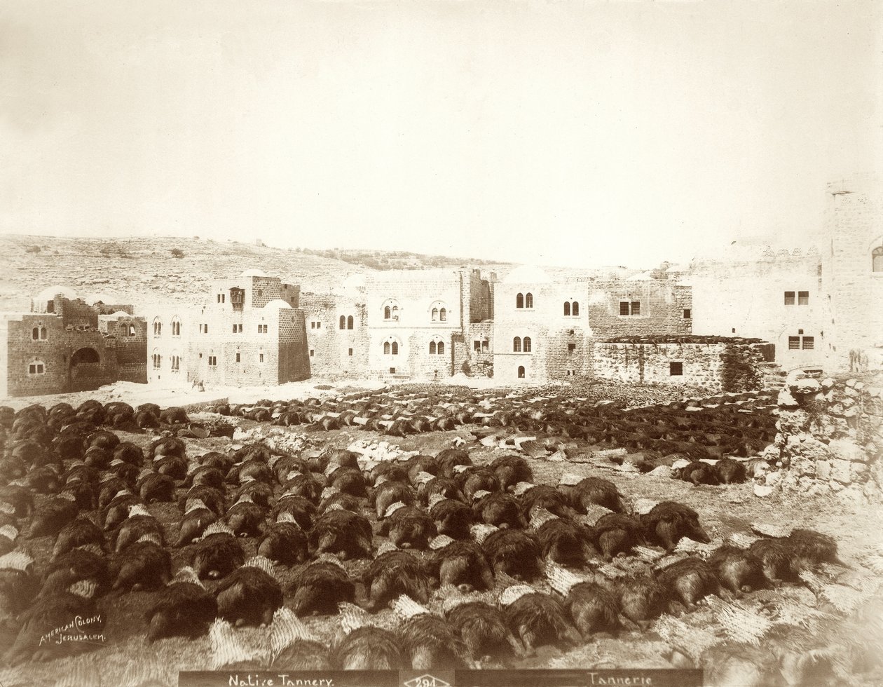 Garbarnia w Hebronie ze skórami ułożonymi na pierwszym planie, 1898-1911 autorstwa American Photographer